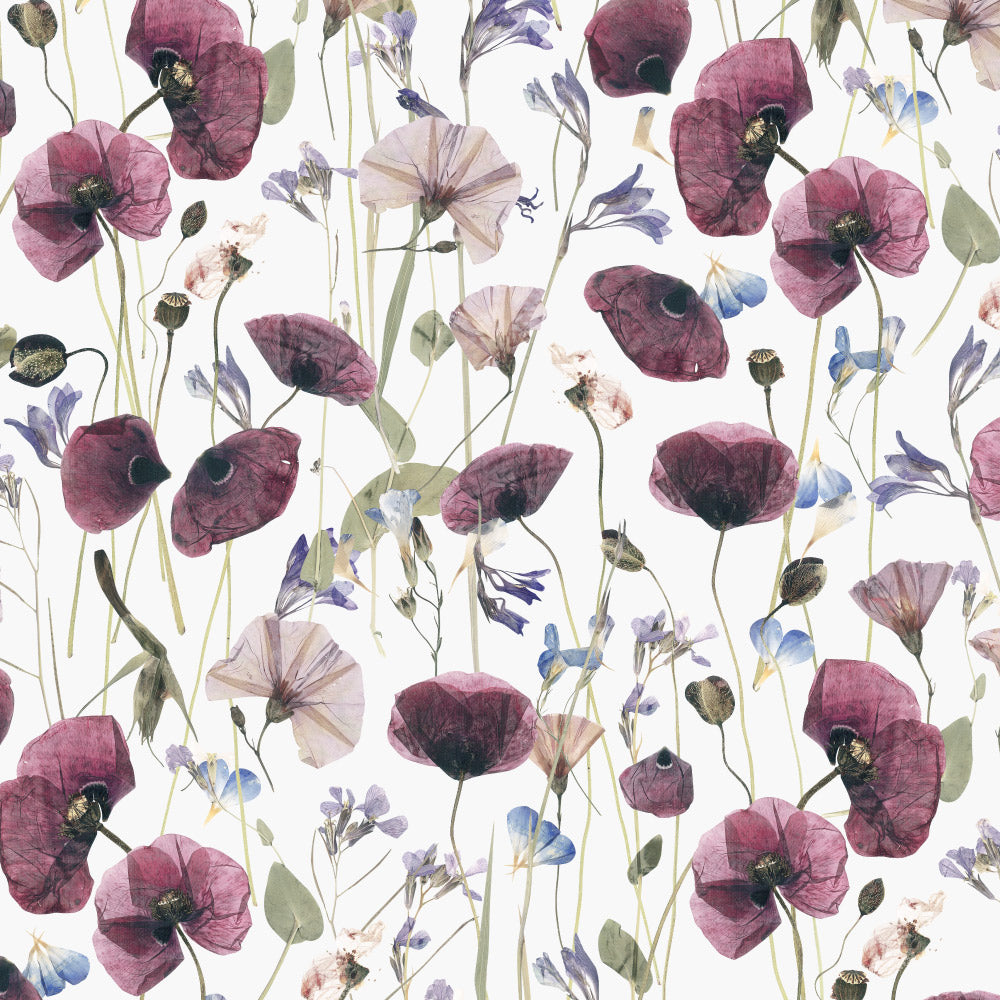 Pressed Petals (White) Wallpaper pattern close-up