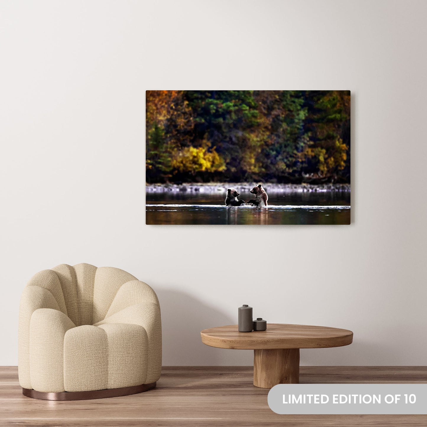 Michelle Valberg's Playful Paws photography reproduced on a 36x54 HD metal print