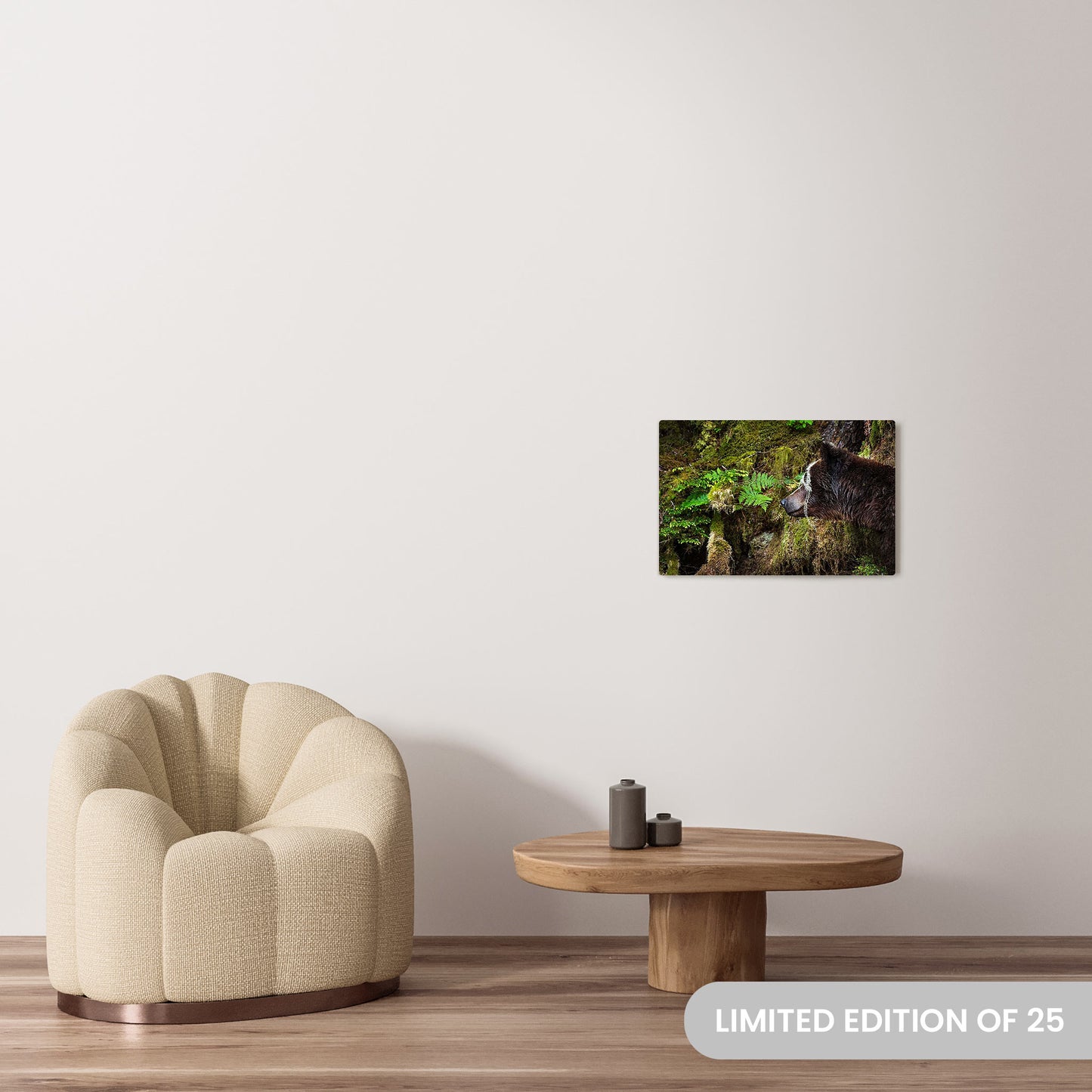 Michelle Valberg's Mighty Grizzly 2 photography reproduced on a 16x24 HD metal print