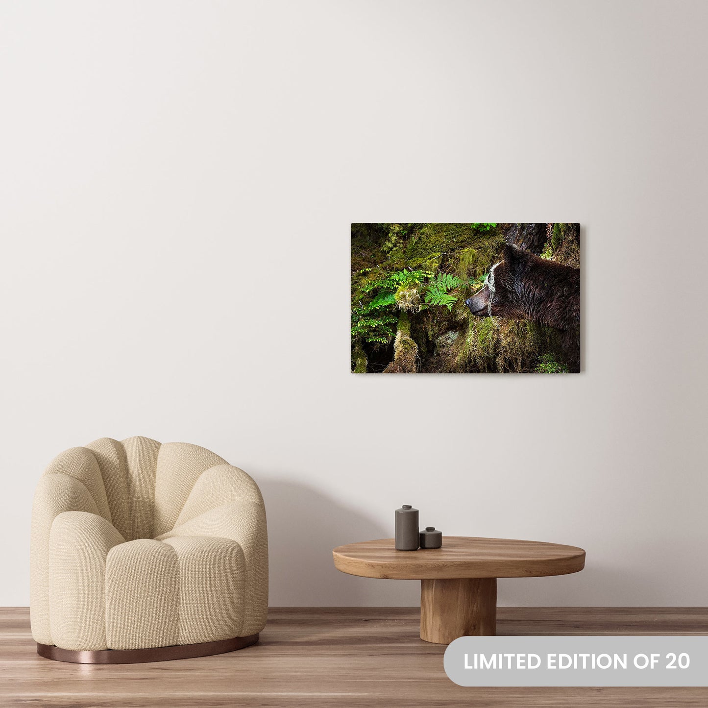 Michelle Valberg's Mighty Grizzly 2 photography reproduced on a 24x36 HD metal print