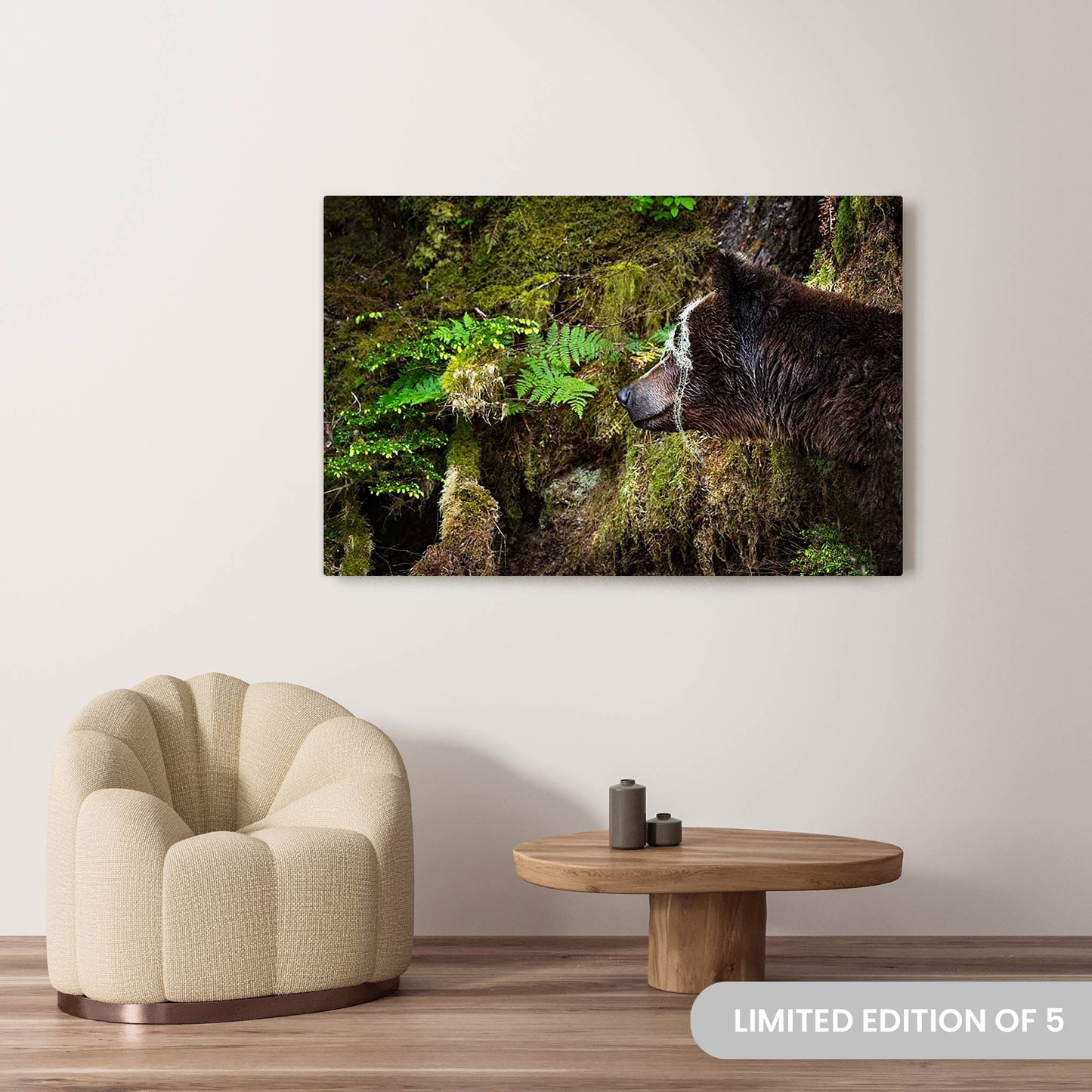 Michelle Valberg's Mighty Grizzly 2 photography reproduced on a 40x60 HD metal print