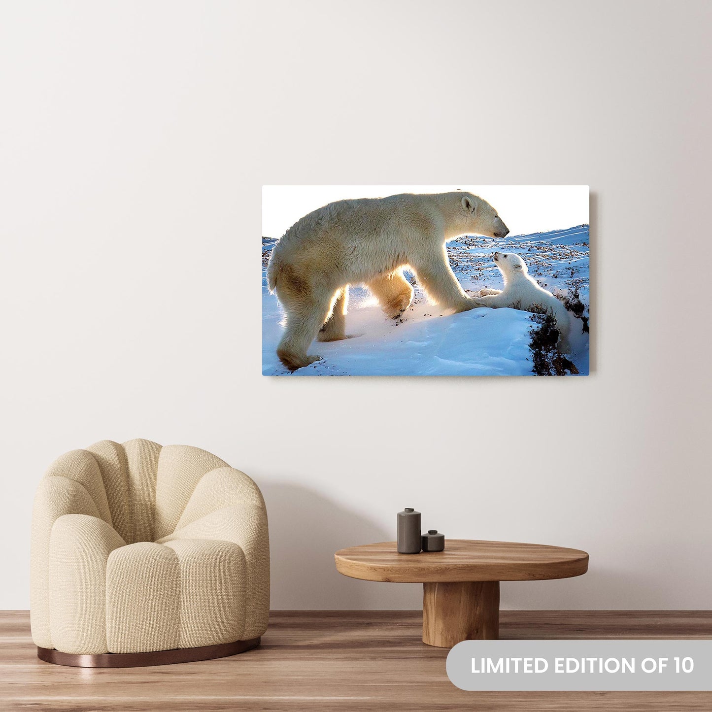 Michelle Valberg's Mother Love photography reproduced on a 30x51.5 HD metal print
