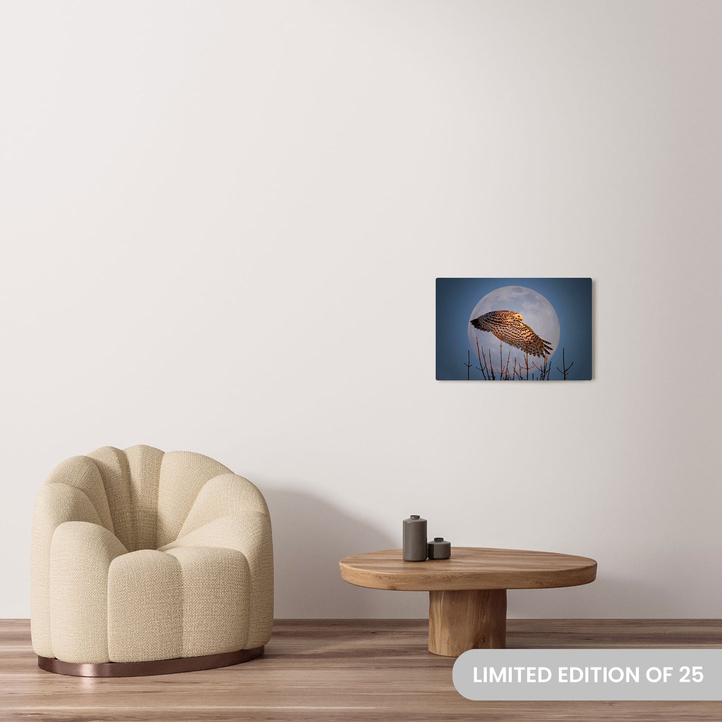 Michelle Valberg's Snowy Moon photography reproduced on a 16x24 HD metal print
