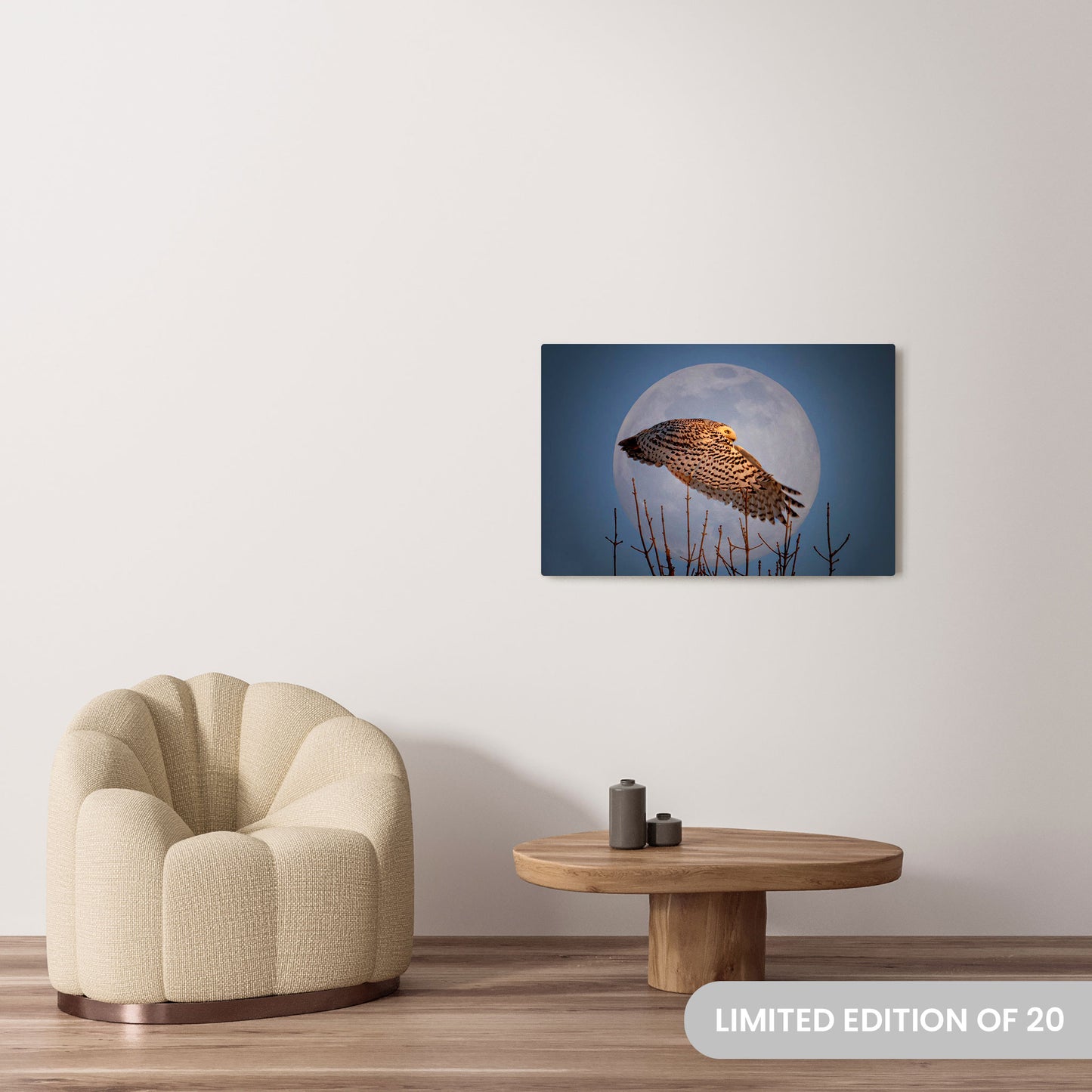 Michelle Valberg's Snowy Moon photography reproduced on a 24x36 HD metal print