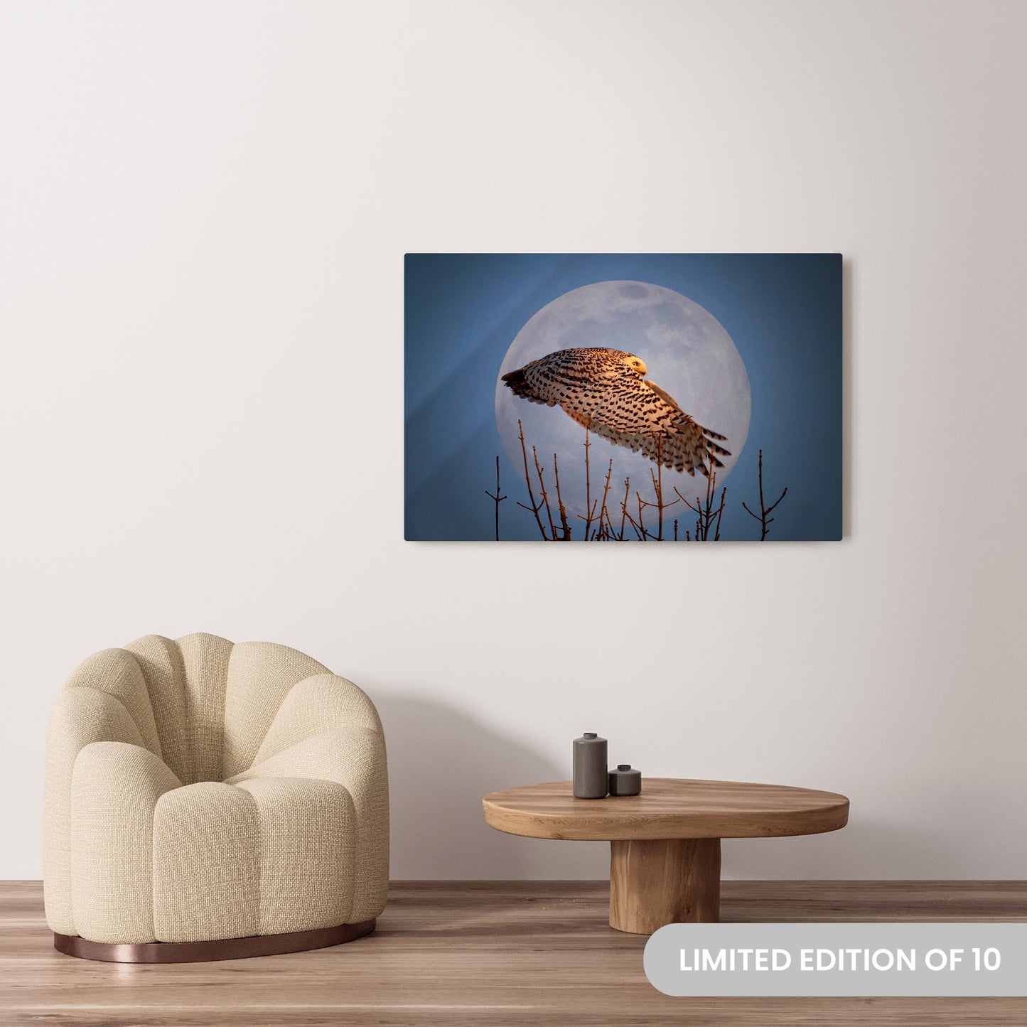 Michelle Valberg's Snowy Moon photography reproduced on a 32x48 HD metal print