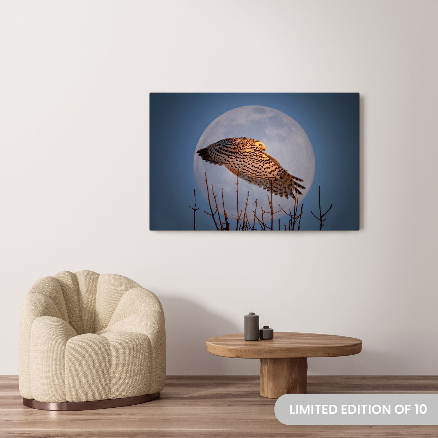 Michelle Valberg's Snowy Moon photography reproduced on a 36x54 HD metal print