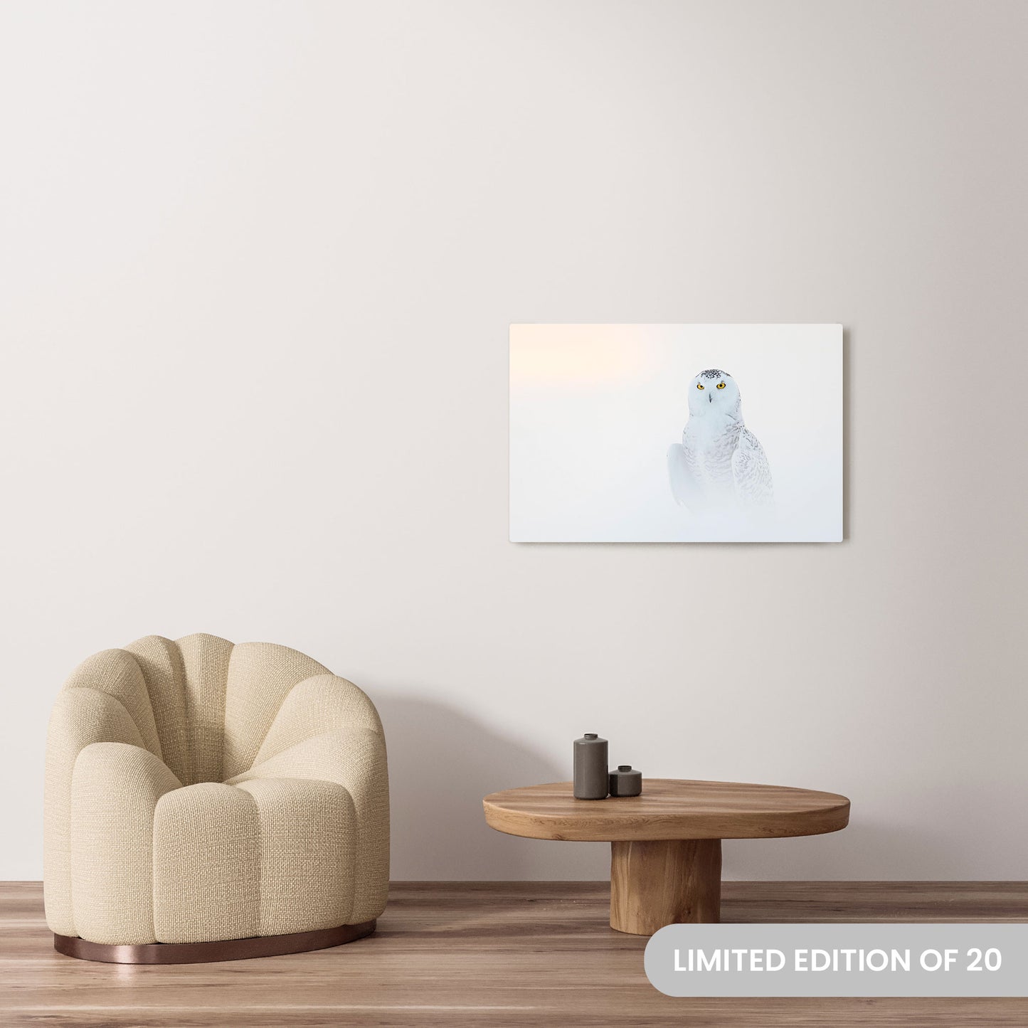 Michelle Valberg's Hoot Couture photography reproduced on a 24x36 HD metal print