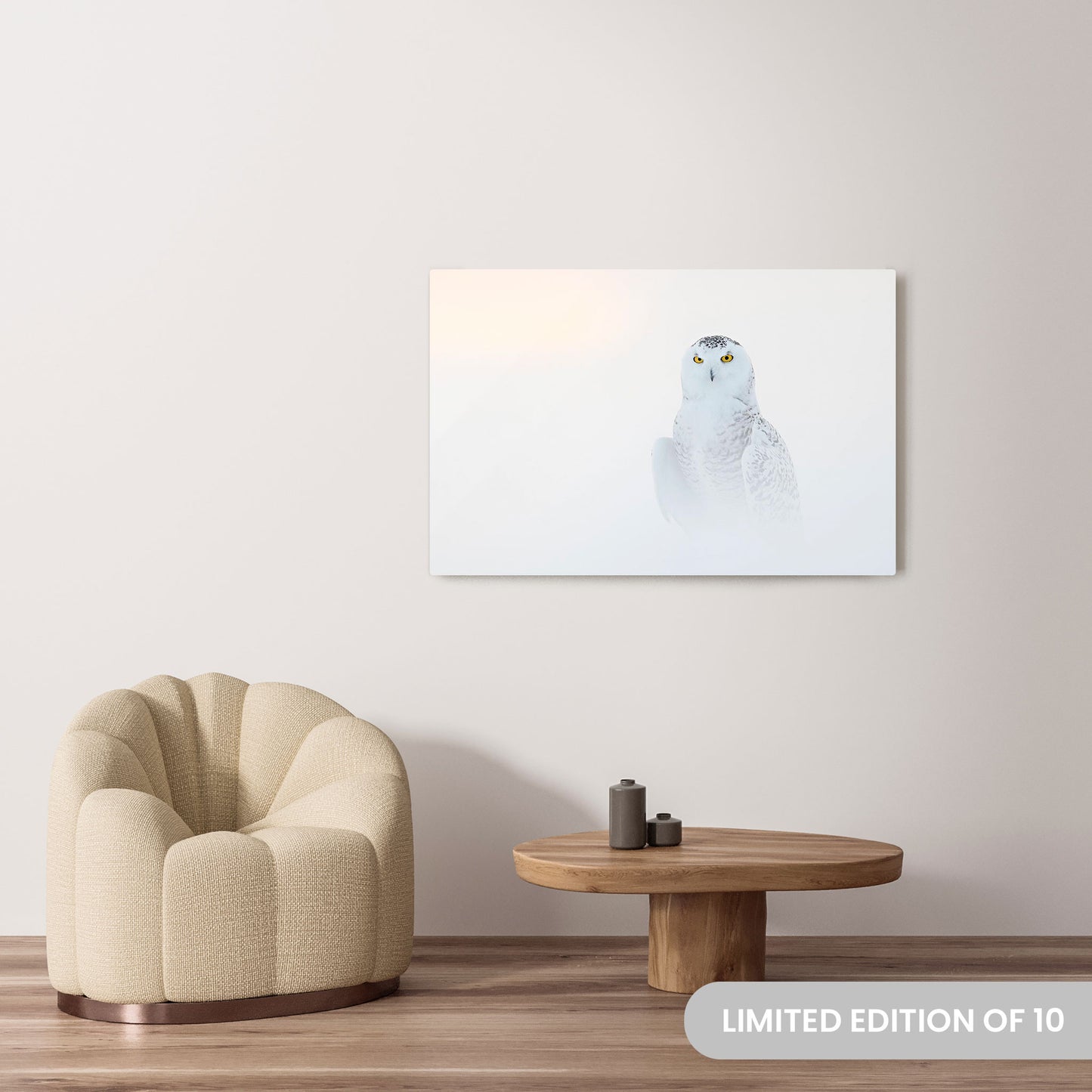 Michelle Valberg's Hoot Couture photography reproduced on a 32x48 HD metal print