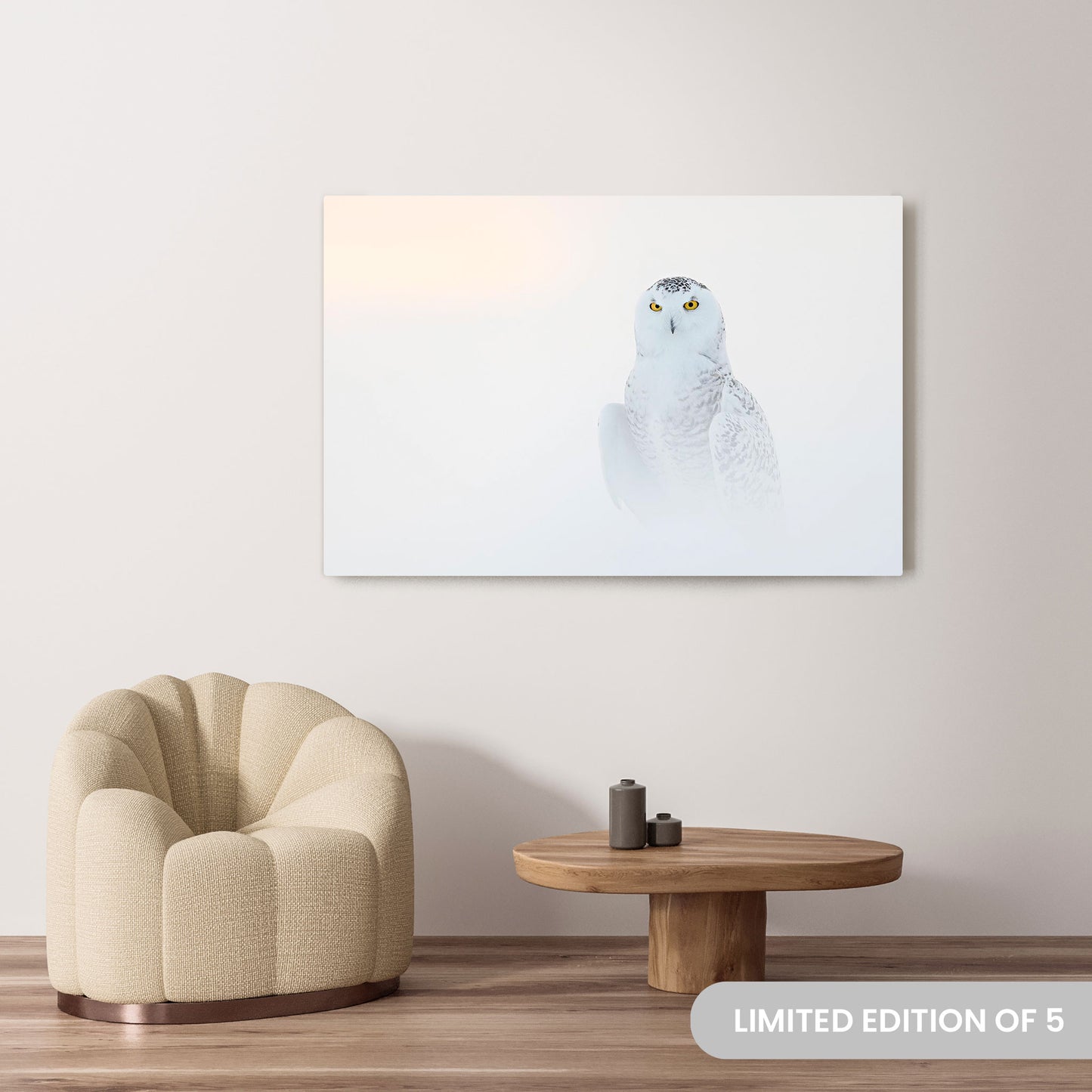 Michelle Valberg's Hoot Couture photography reproduced on a 40x60 HD metal print