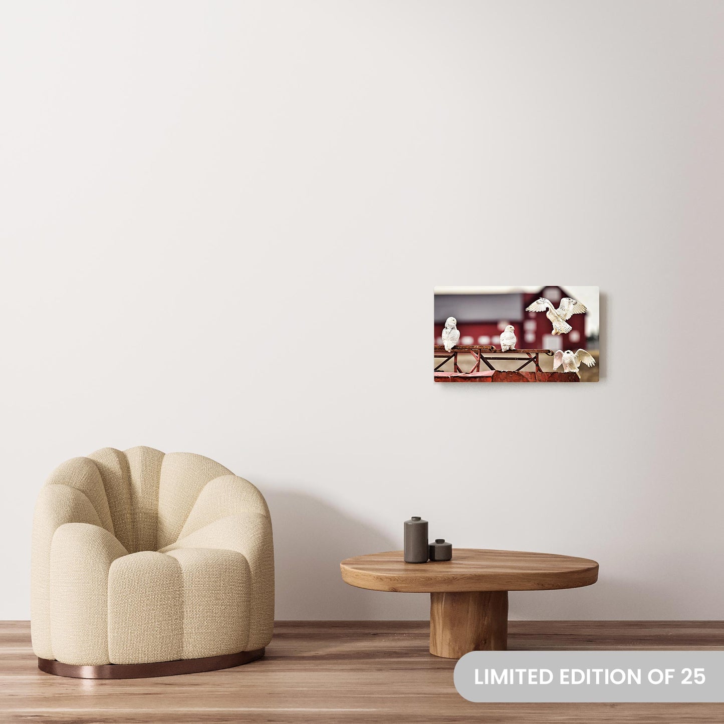Michelle Valberg's A Flurry of Feathers photography reproduced on a 15x25.75 HD metal print
