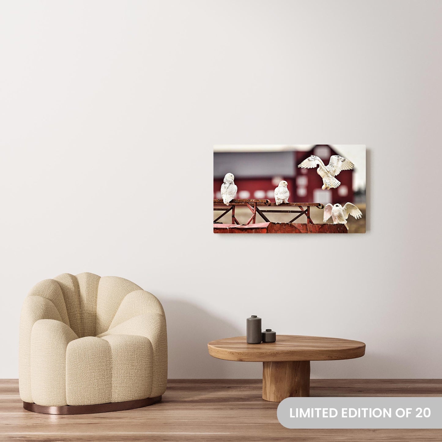 Michelle Valberg's A Flurry of Feathers photography reproduced on a 22.5x38.5 HD metal print