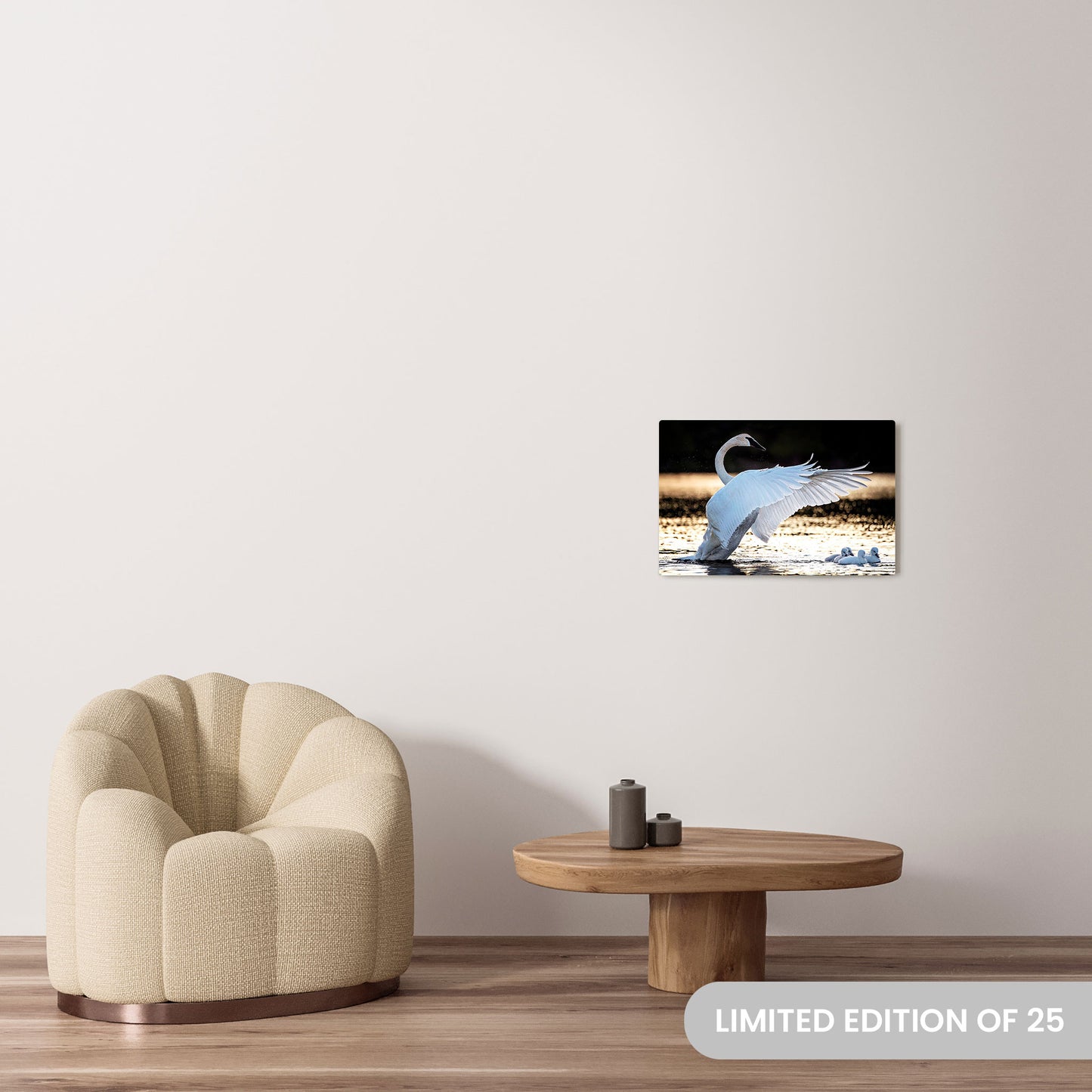 Michelle Valberg's Swan Lake photography reproduced on a 16x24 HD metal print