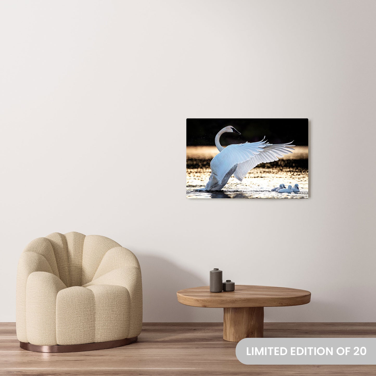 Michelle Valberg's Swan Lake photography reproduced on a 24x36 HD metal print