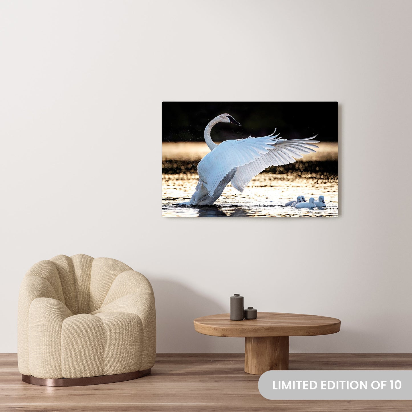 Michelle Valberg's Swan Lake photography reproduced on a 32x48 HD metal print