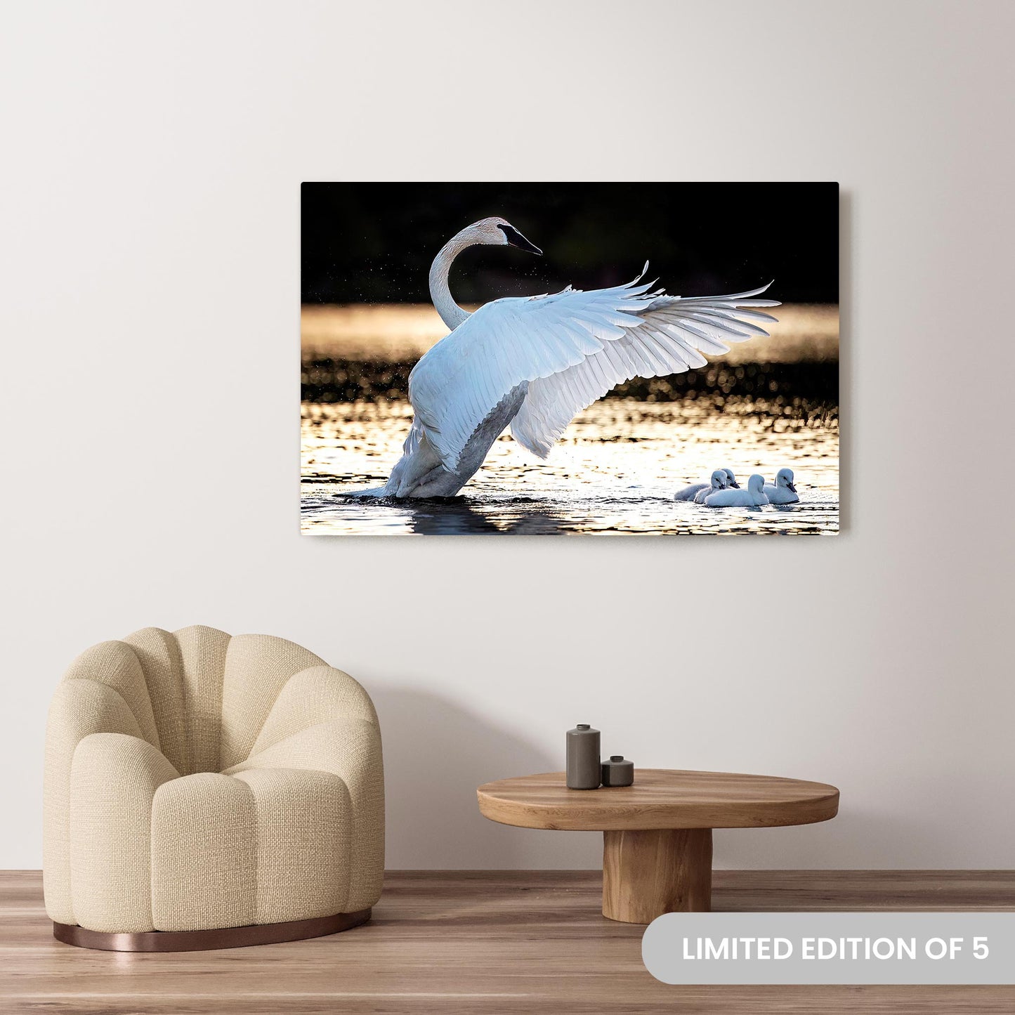 Michelle Valberg's Swan Lake photography reproduced on a 40x60 HD metal print