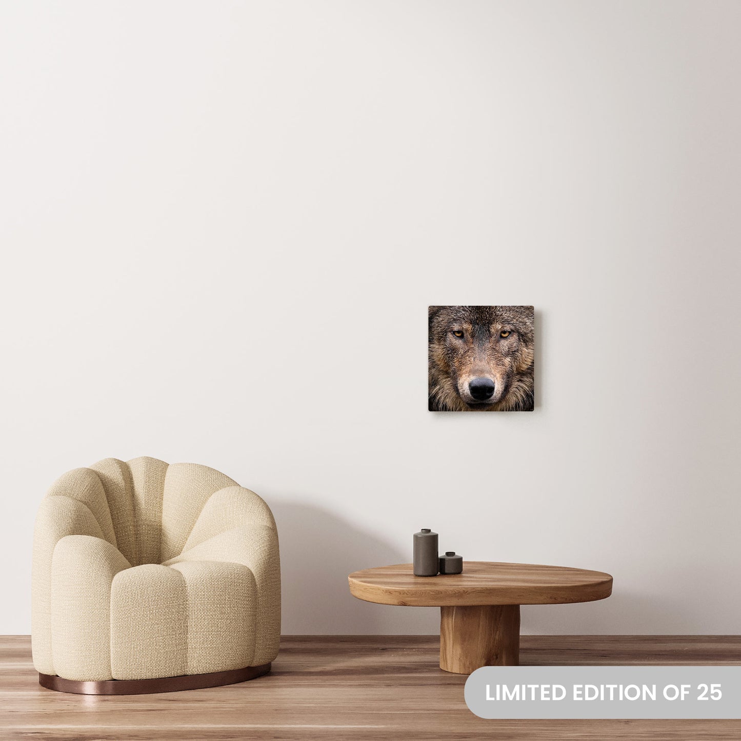 Michelle Valberg's Wink photography reproduced on a 16x16 HD metal print