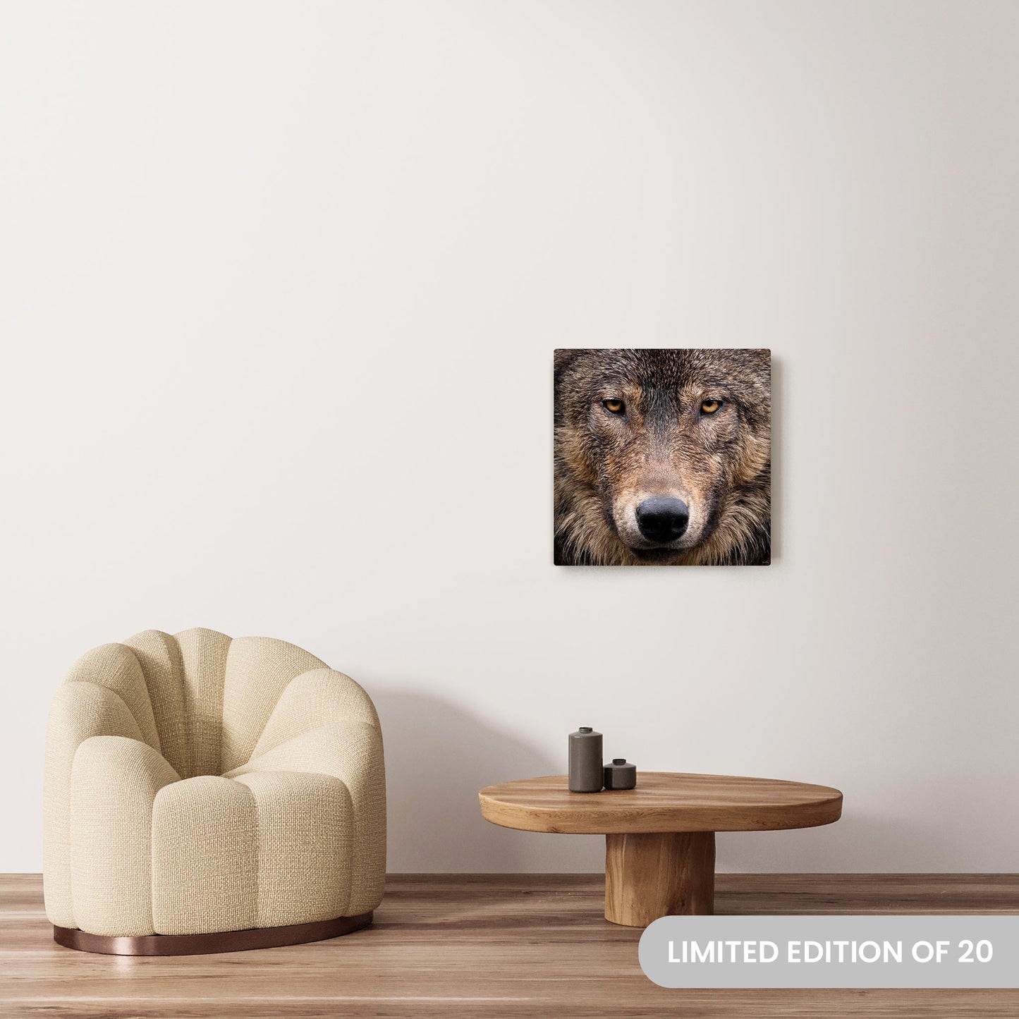 Michelle Valberg's Wink photography reproduced on a 24x24 HD metal print