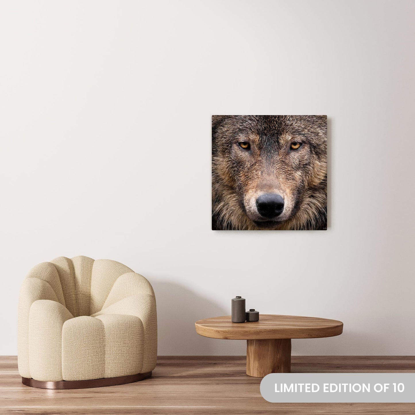 Michelle Valberg's Wink photography reproduced on a 30x30 HD metal print
