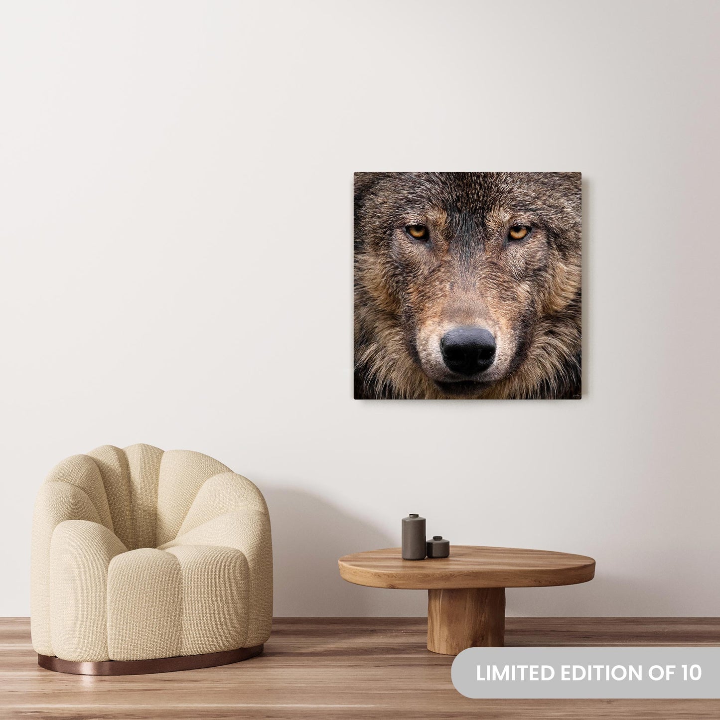 Michelle Valberg's Wink photography reproduced on a 36x36 HD metal print
