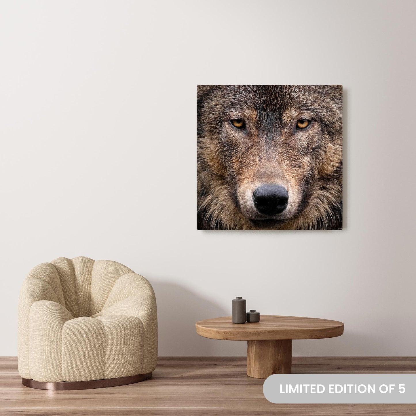 Michelle Valberg's Wink photography reproduced on a 40x40 HD metal print