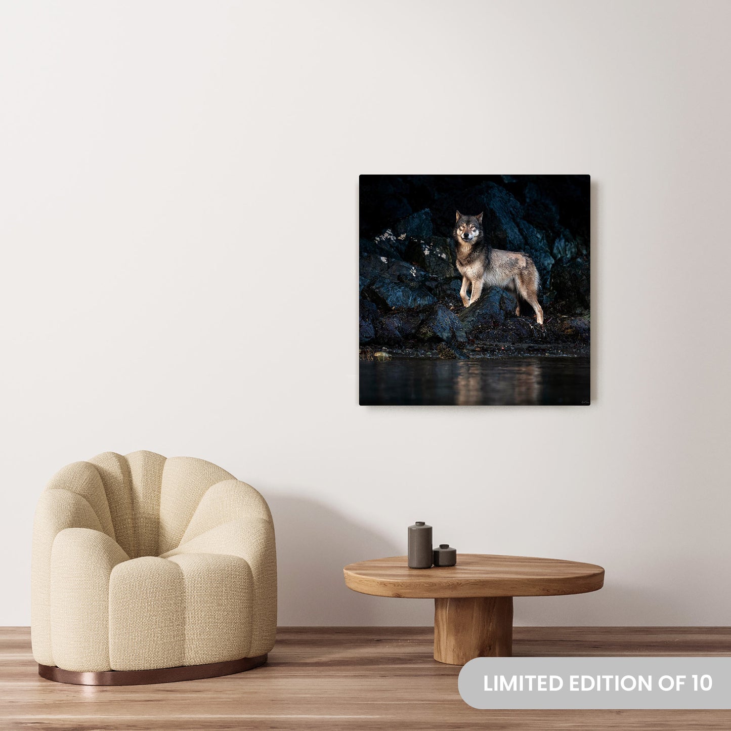 Michelle Valberg's Keeping Tabs photography reproduced on a 36x36 HD metal