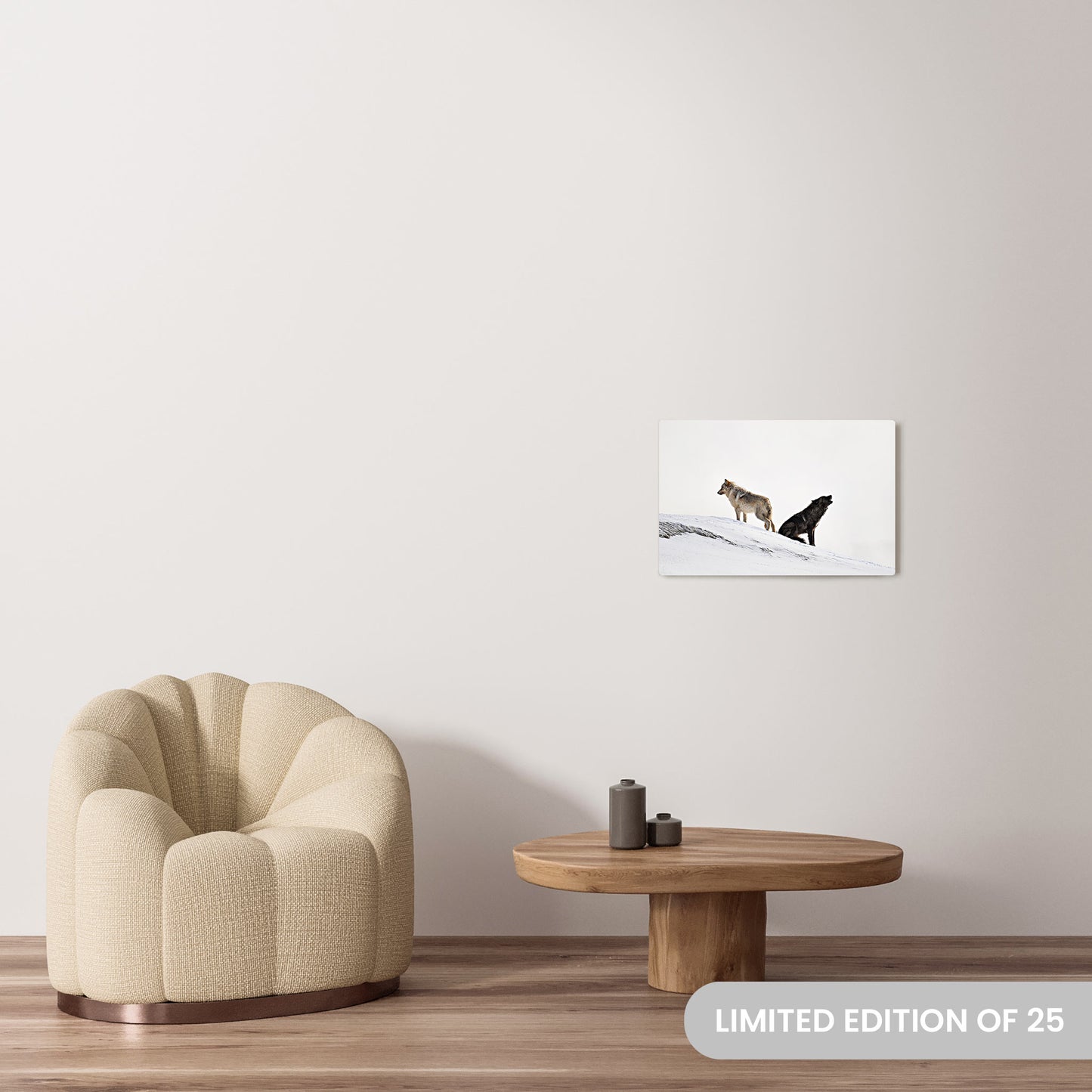 Michelle Valberg's Dynamic Duo photography reproduced on 16x24 HD metal print