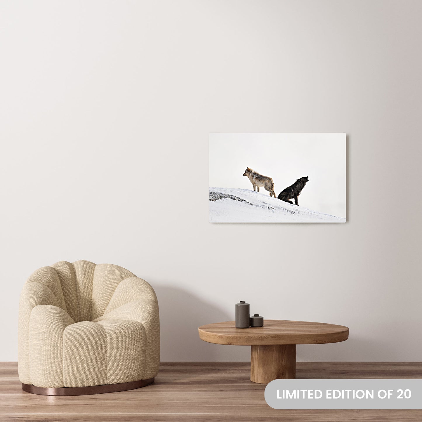 Michelle Valberg's Dynamic Duo photography reproduced on a 24x36 HD metal print