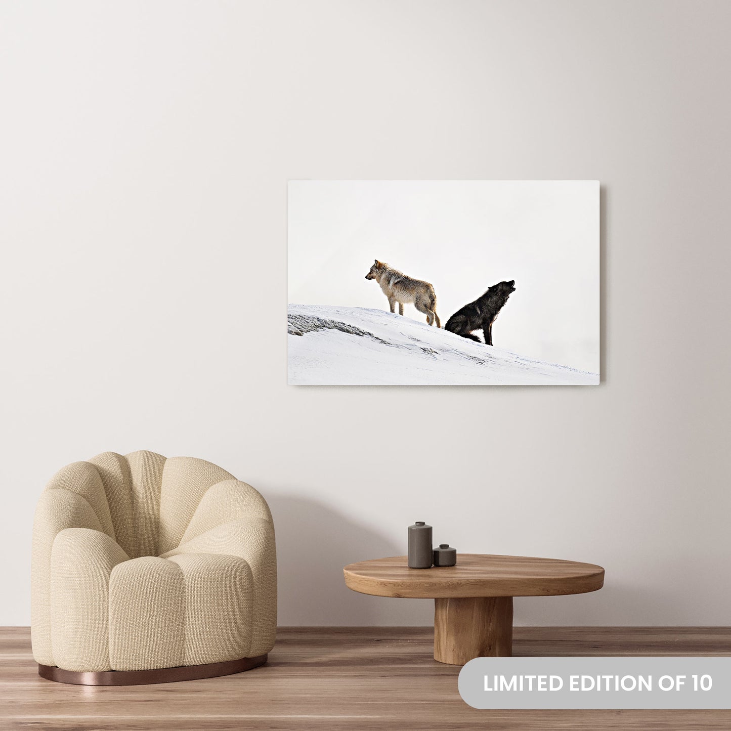 Michelle Valberg's Dynamic Duo photography reproduced on a 32x48 HD metal print
