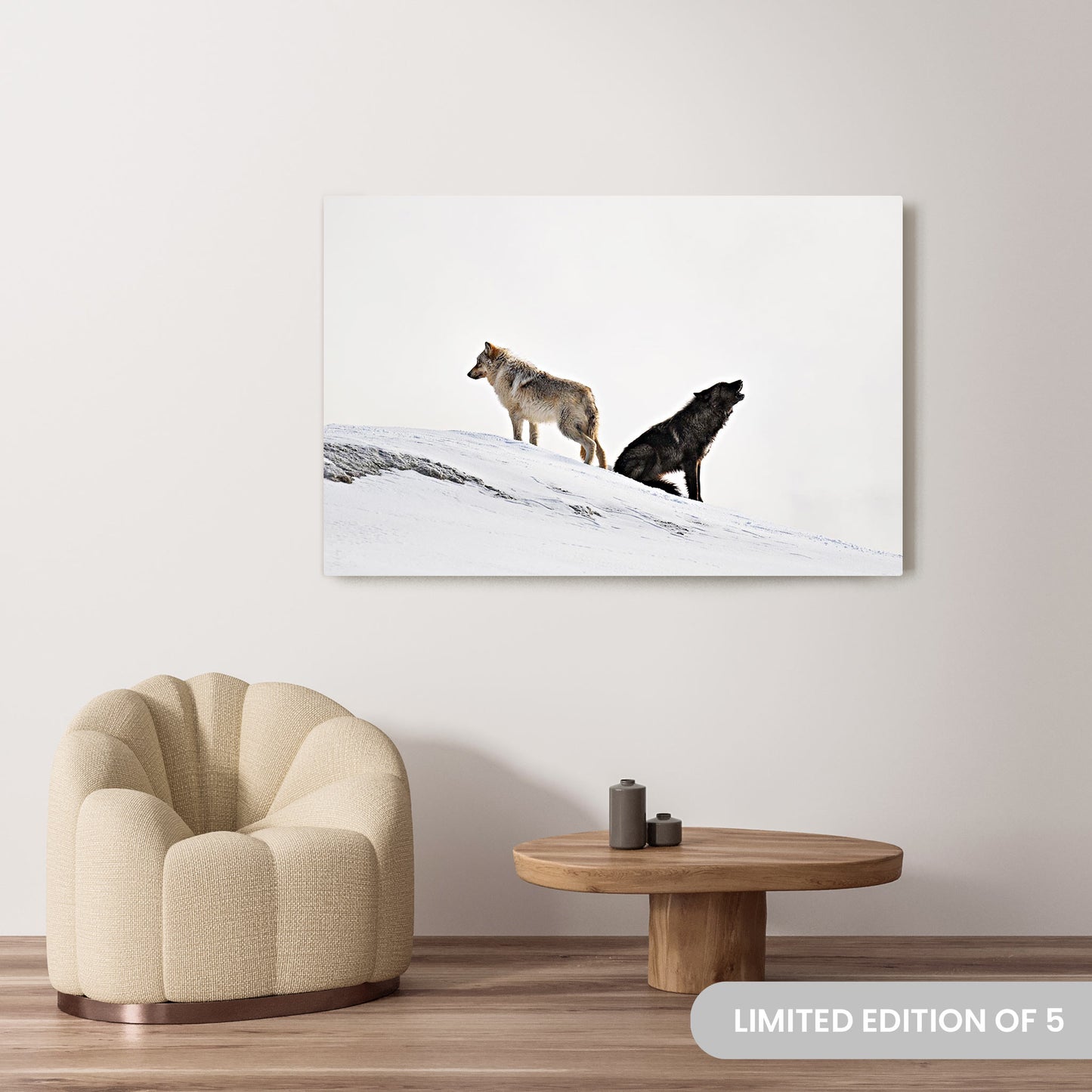 Michelle Valberg's Dynamic Duo photography reproduced on a 40x60 HD metal print