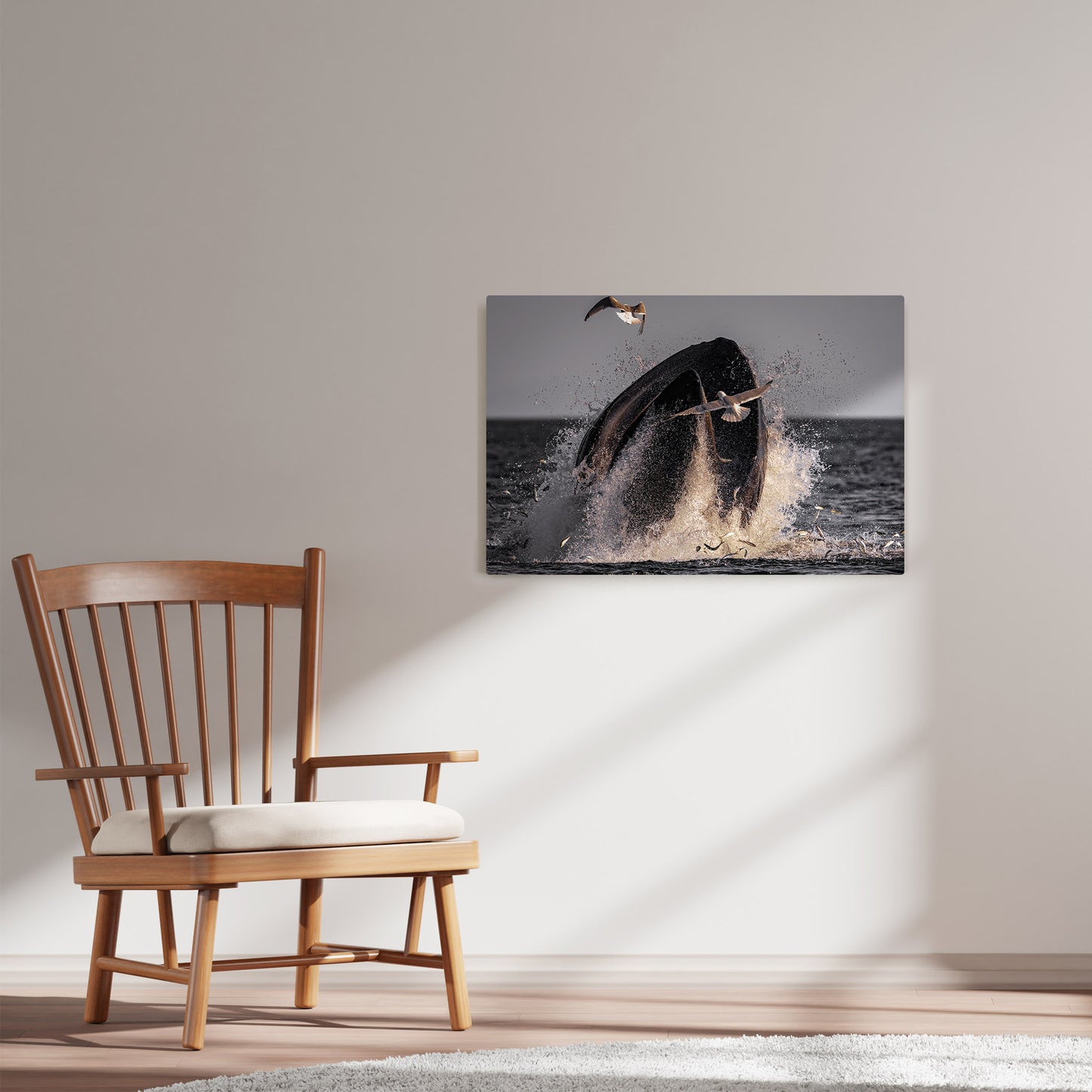 Ray Mackey's Holyrood Humpback photography reproduced on HD metal print and displayed on wall