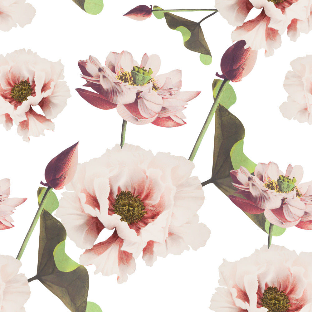 White and Pink Peonies Wallpaper pattern close-up