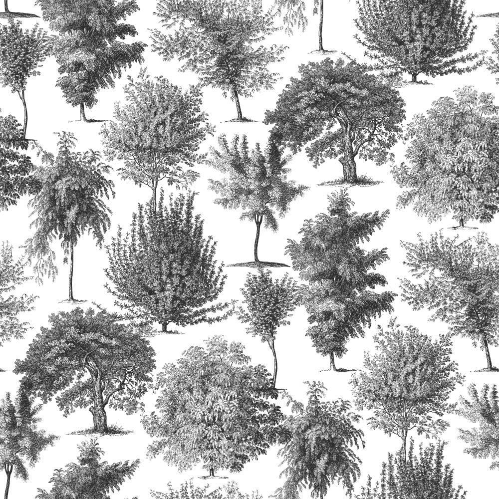 Botanical Blend (Black) Wallpaper pattern close-up