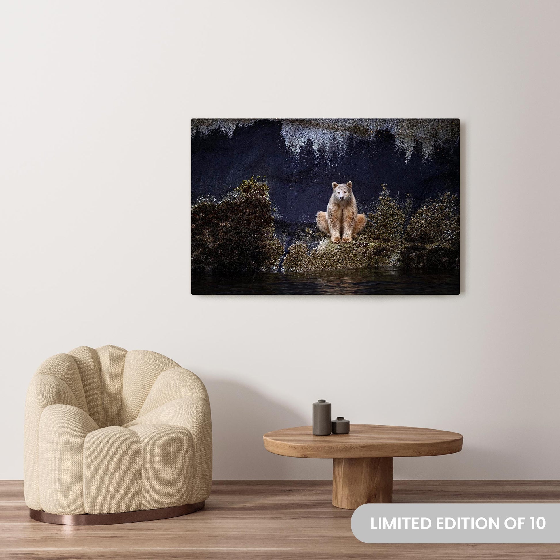 Michelle Valberg's Barney the Spirit Bear photography reproduced on a 36x54 HD metal print