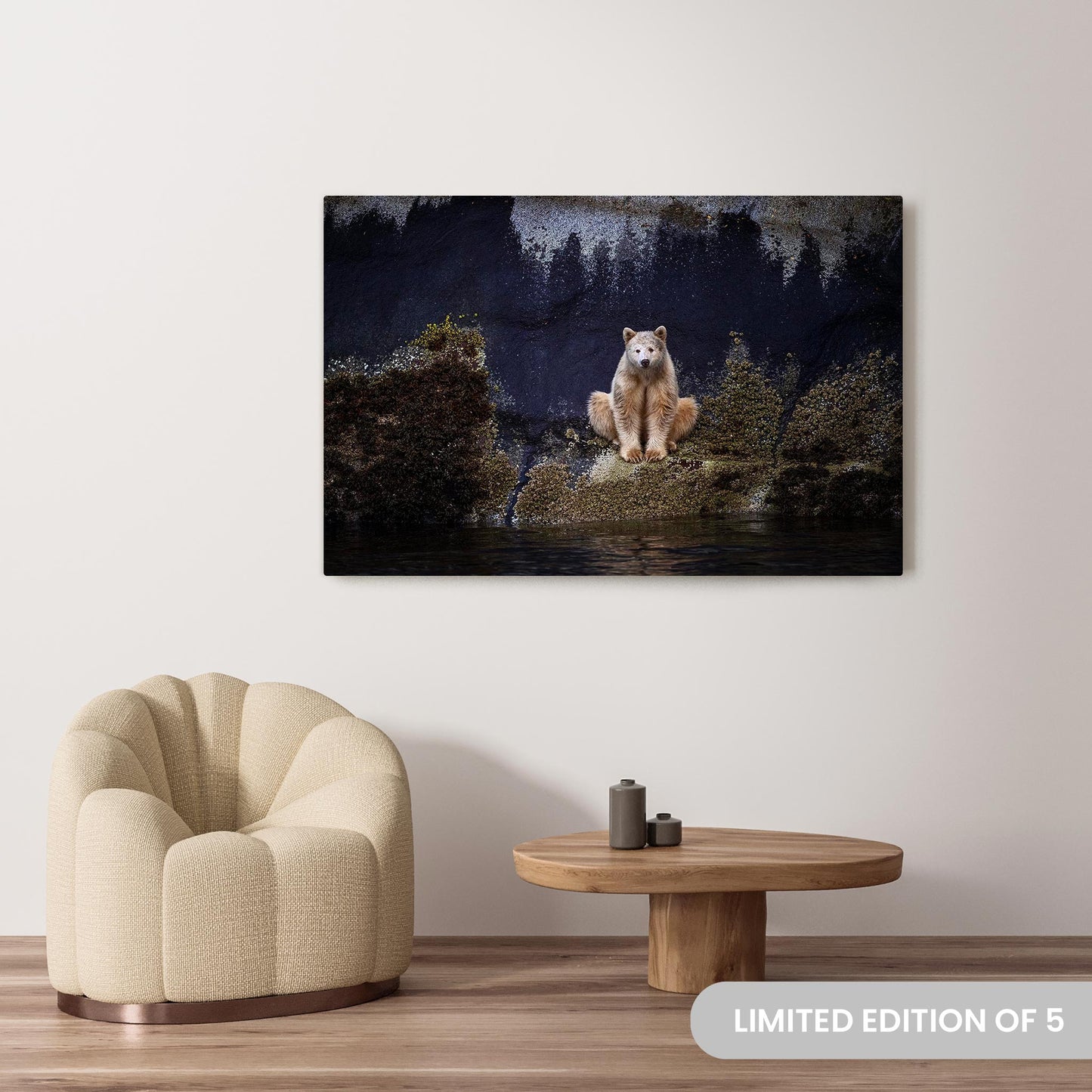 Michelle Valberg's Barney the Spirit Bear photography reproduced on a 40x60 HD metal print