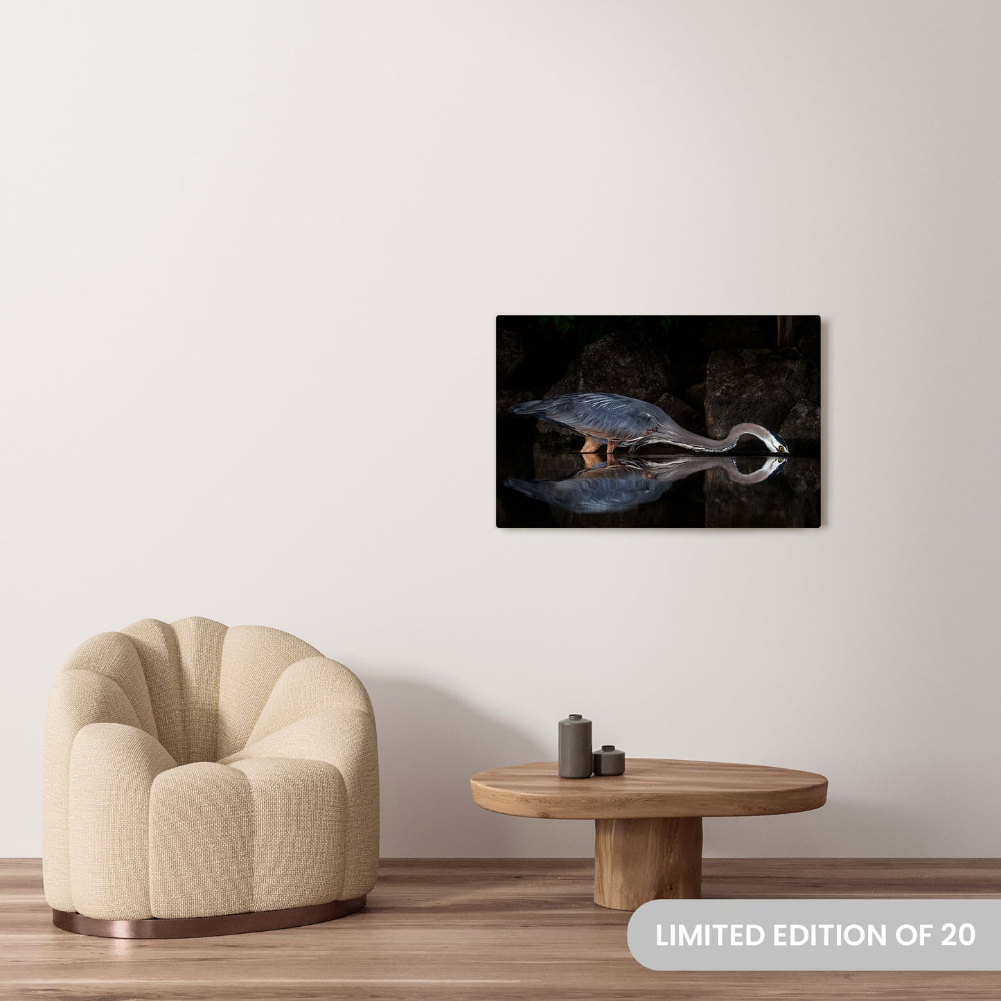 Michelle Valberg's Regal Blue Heron Gracing Sharbot Lake photography reproduced on a 24x36 HD metal print