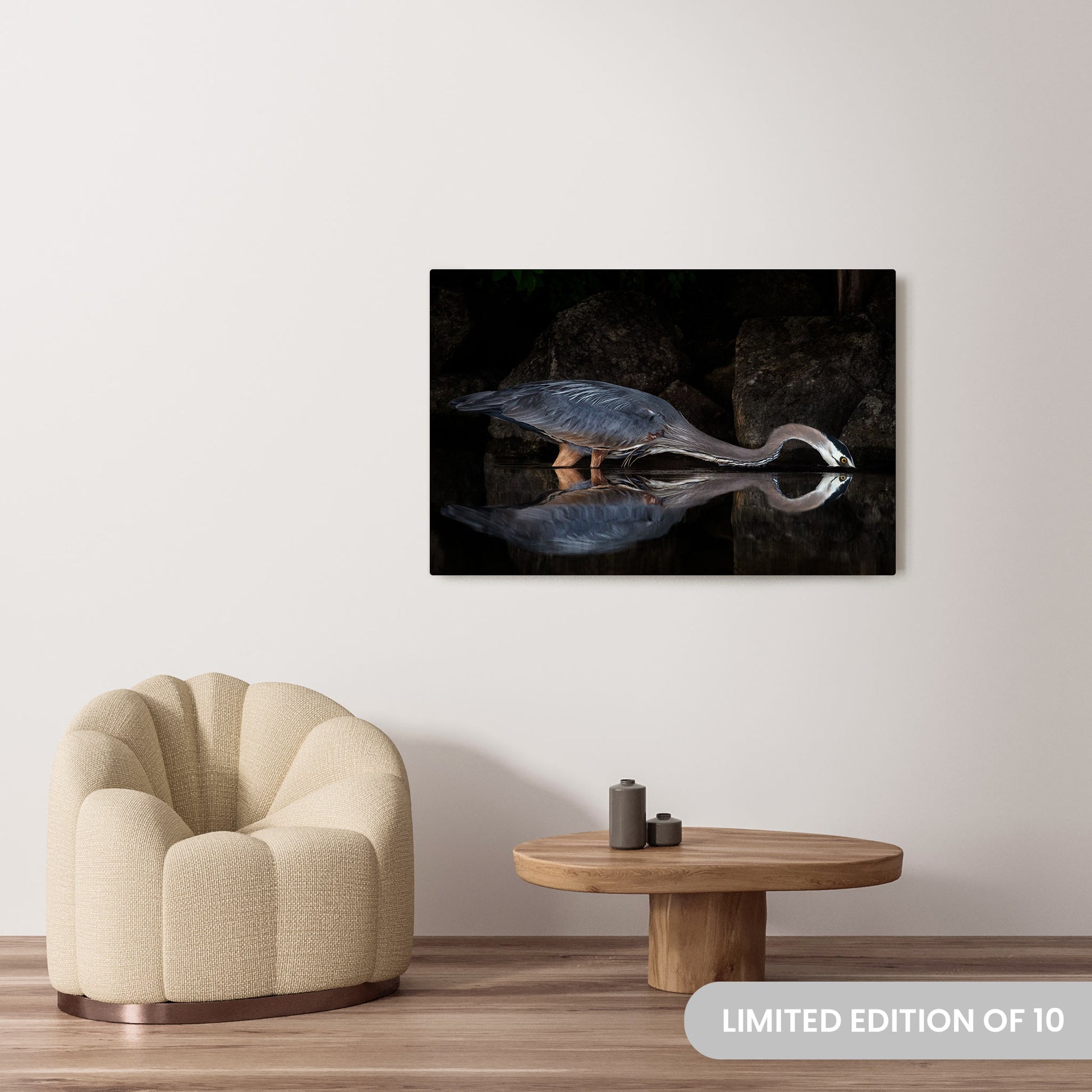 Michelle Valberg's Regal Blue Heron Gracing Sharbot Lake photography reproduced on a 32x48 HD metal print