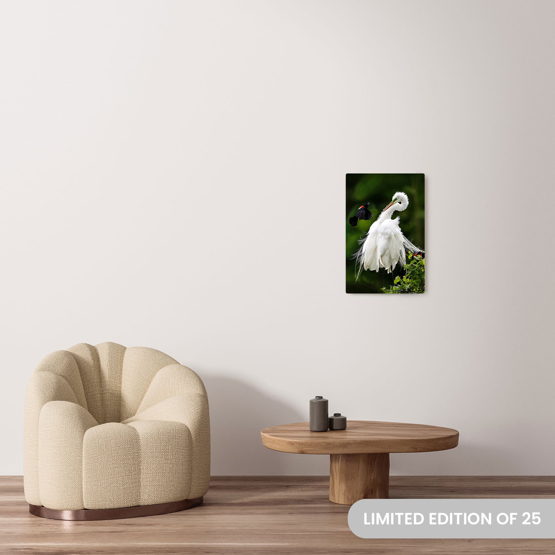 Michelle Valberg's Egret Encounter with Bold Blackbird photography reproduced on a 16x24 HD metal print