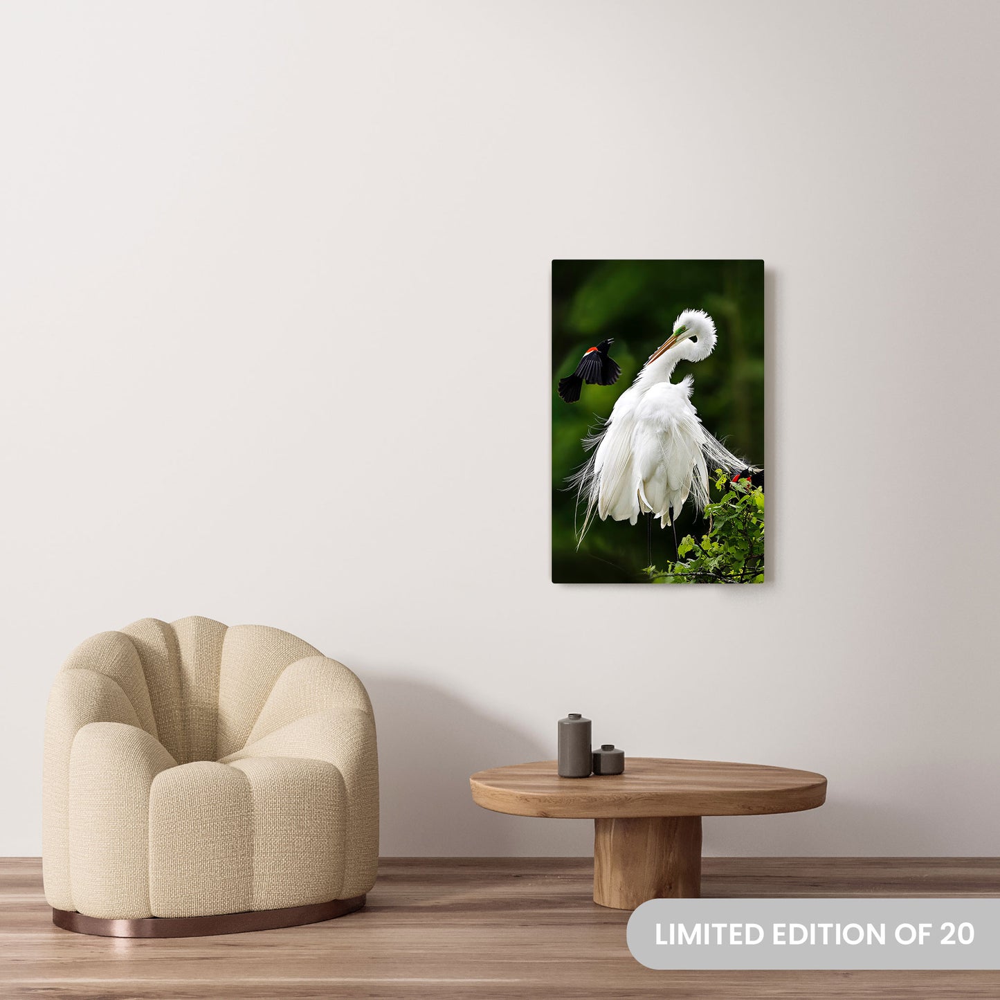 Michelle Valberg's Egret Encounter with Bold Blackbird photography reproduced on a 24x36 HD metal print