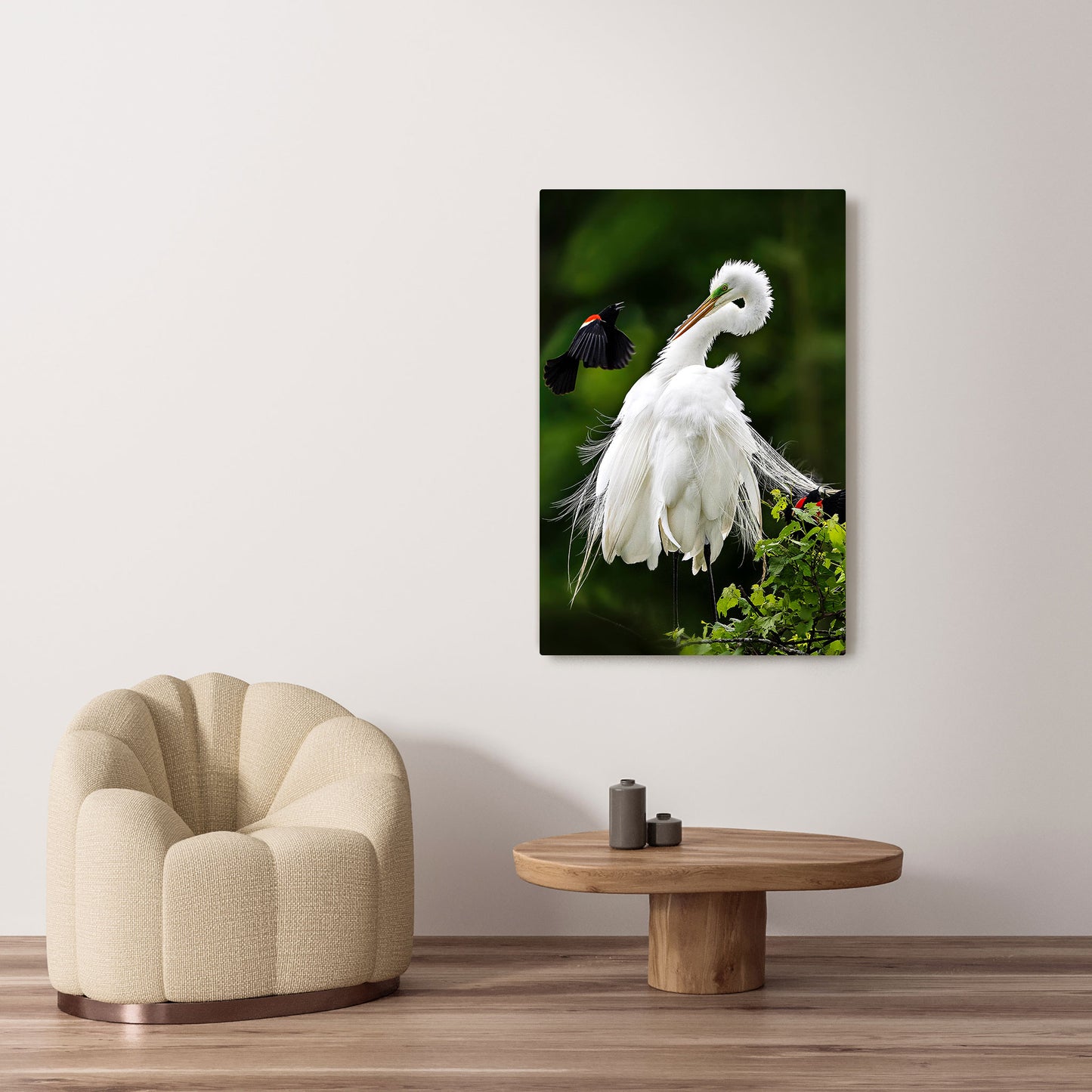 Michelle Valberg's Egret Encounter with Bold Blackbird photography reproduced on HD metal print and displayed on wall