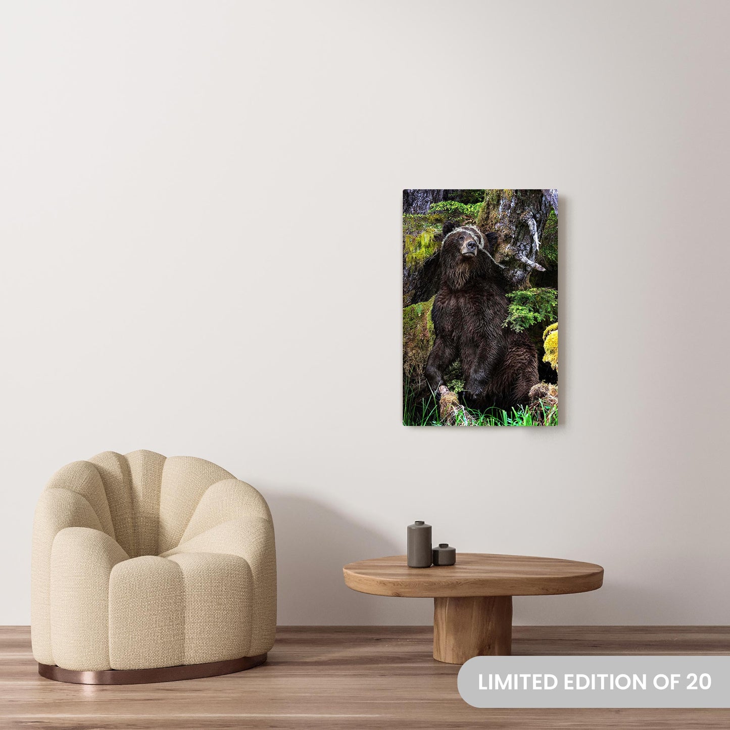 Michelle Valberg's Mighty Grizzly 1 photography reproduced on a 24x36 HD metal print