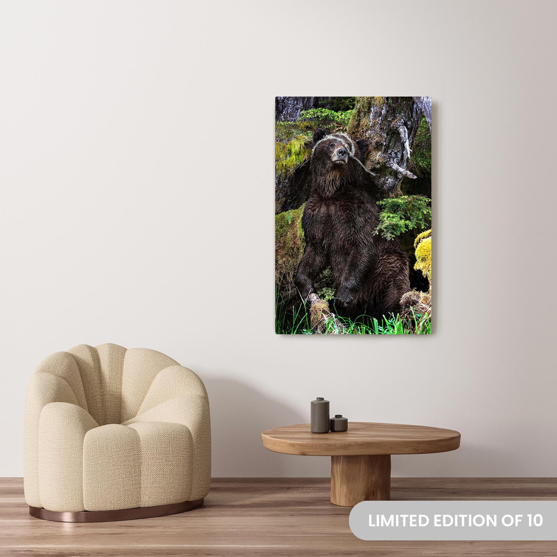 Michelle Valberg's Mighty Grizzly 1 photography reproduced on a 32x48 HD metal print