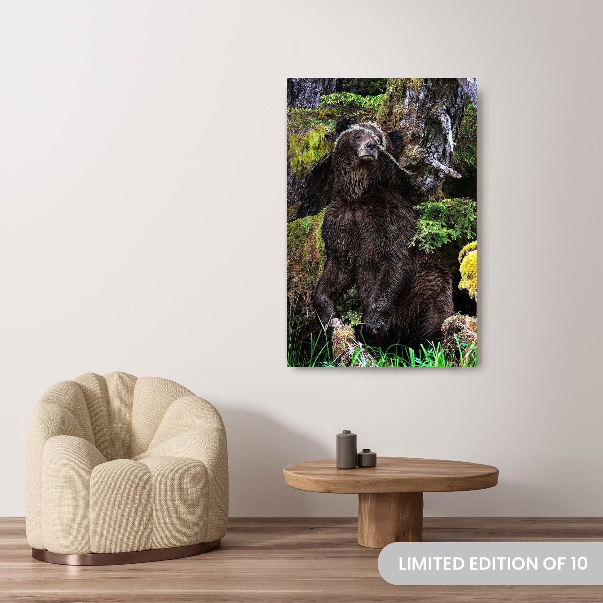 Michelle Valberg's Mighty Grizzly 1 photography reproduced on a 36x54 HD metal print