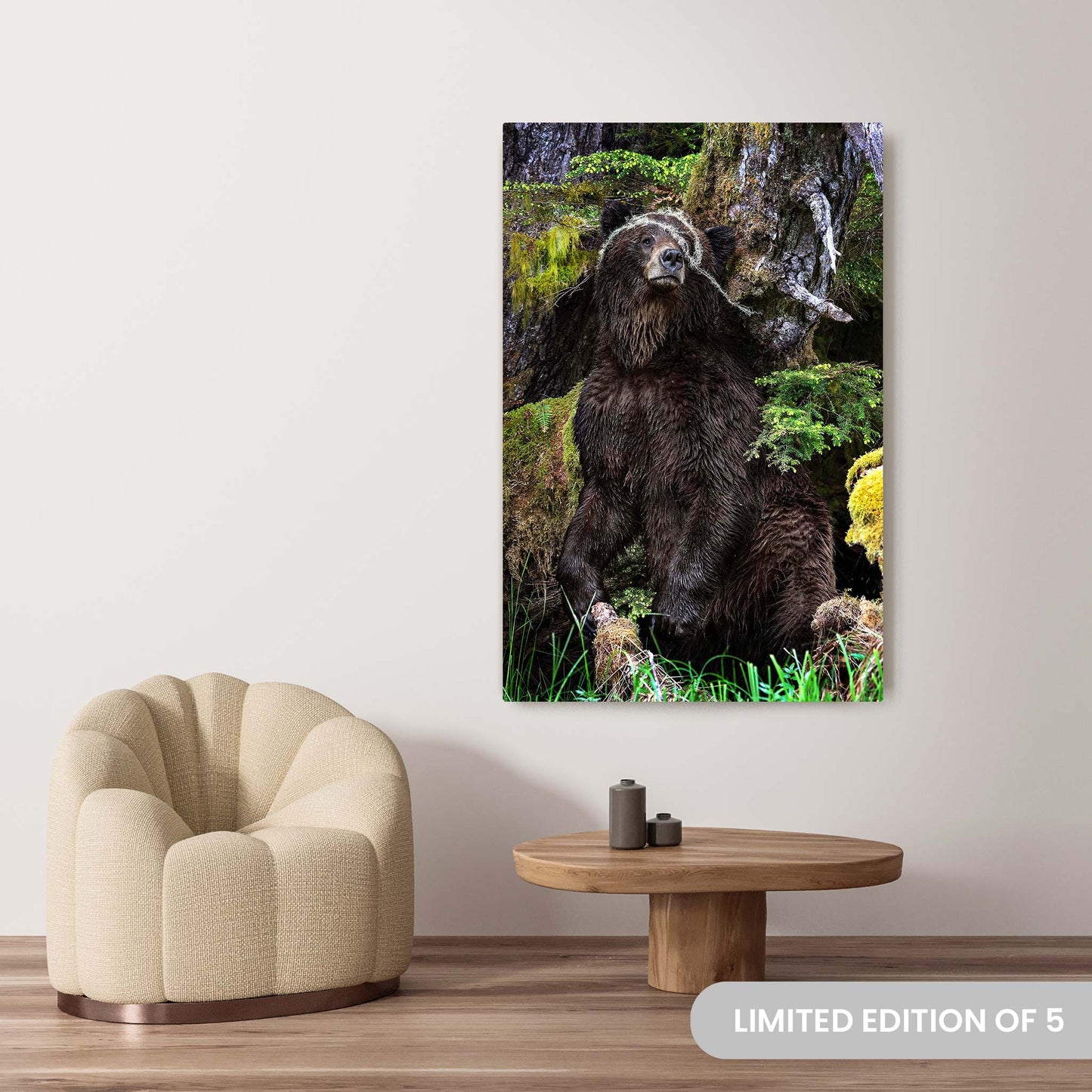 Michelle Valberg's Mighty Grizzly 1 photography reproduced on a 40x60 HD metal print