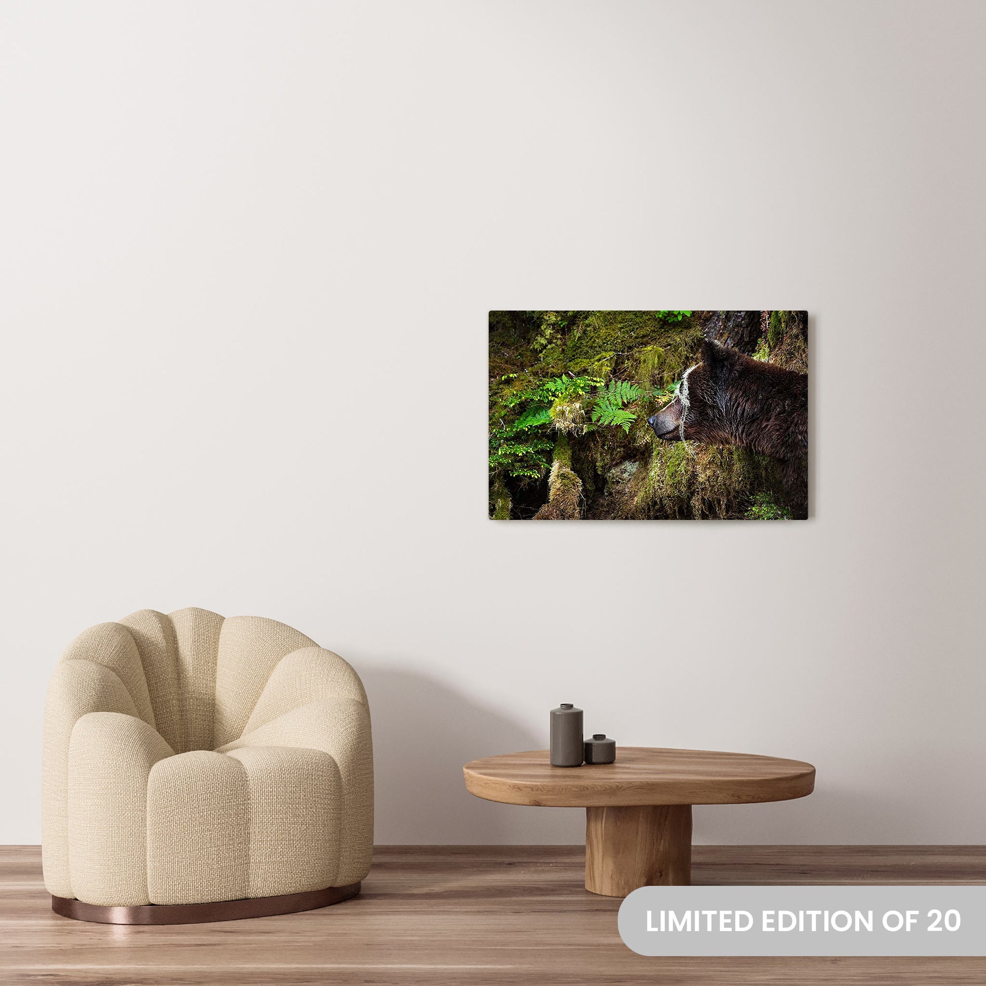 Michelle Valberg's Mighty Grizzly 2 photography reproduced on a 24x36 HD metal print 