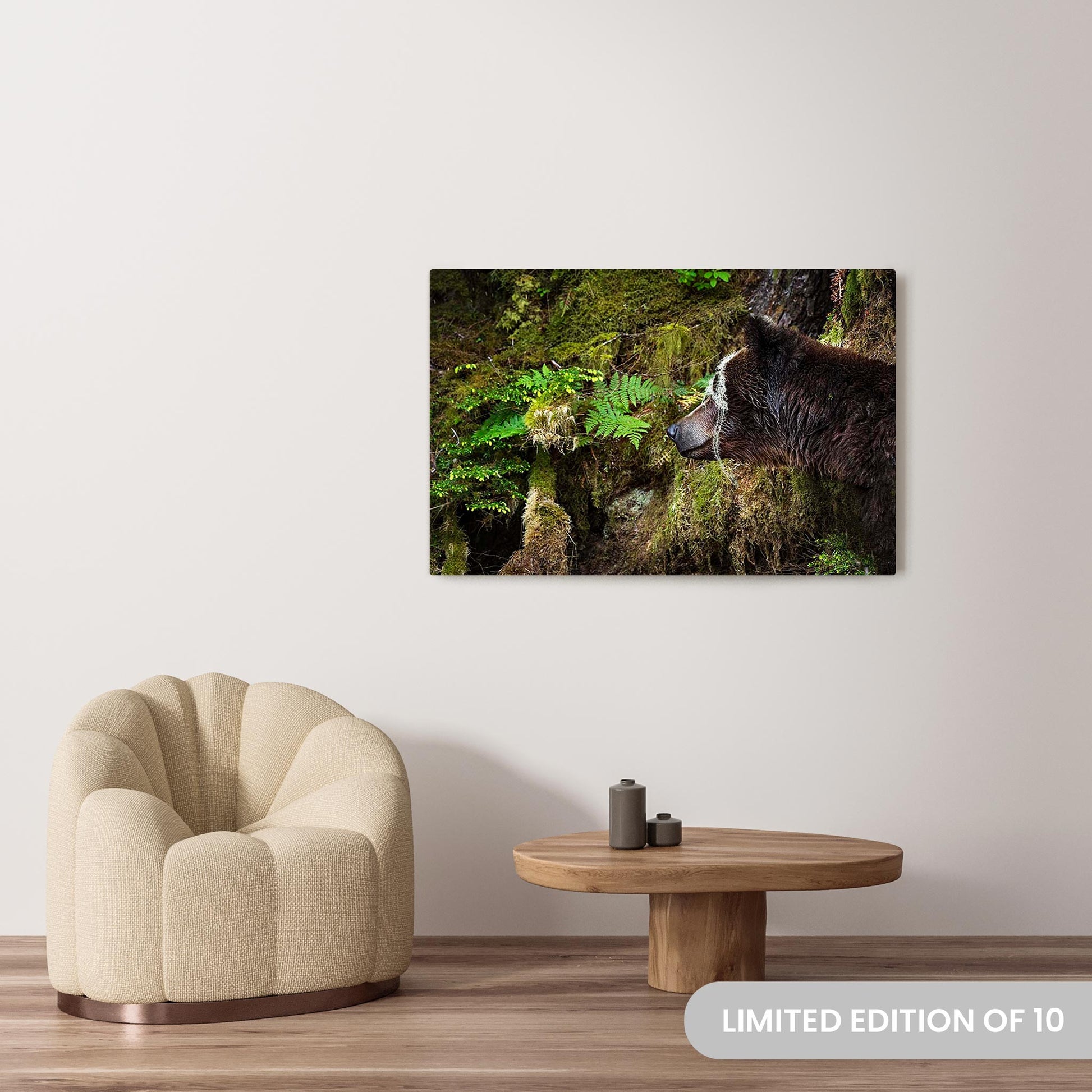 Michelle Valberg's Mighty Grizzly 2 photography reproduced on a 32x48 HD metal print 