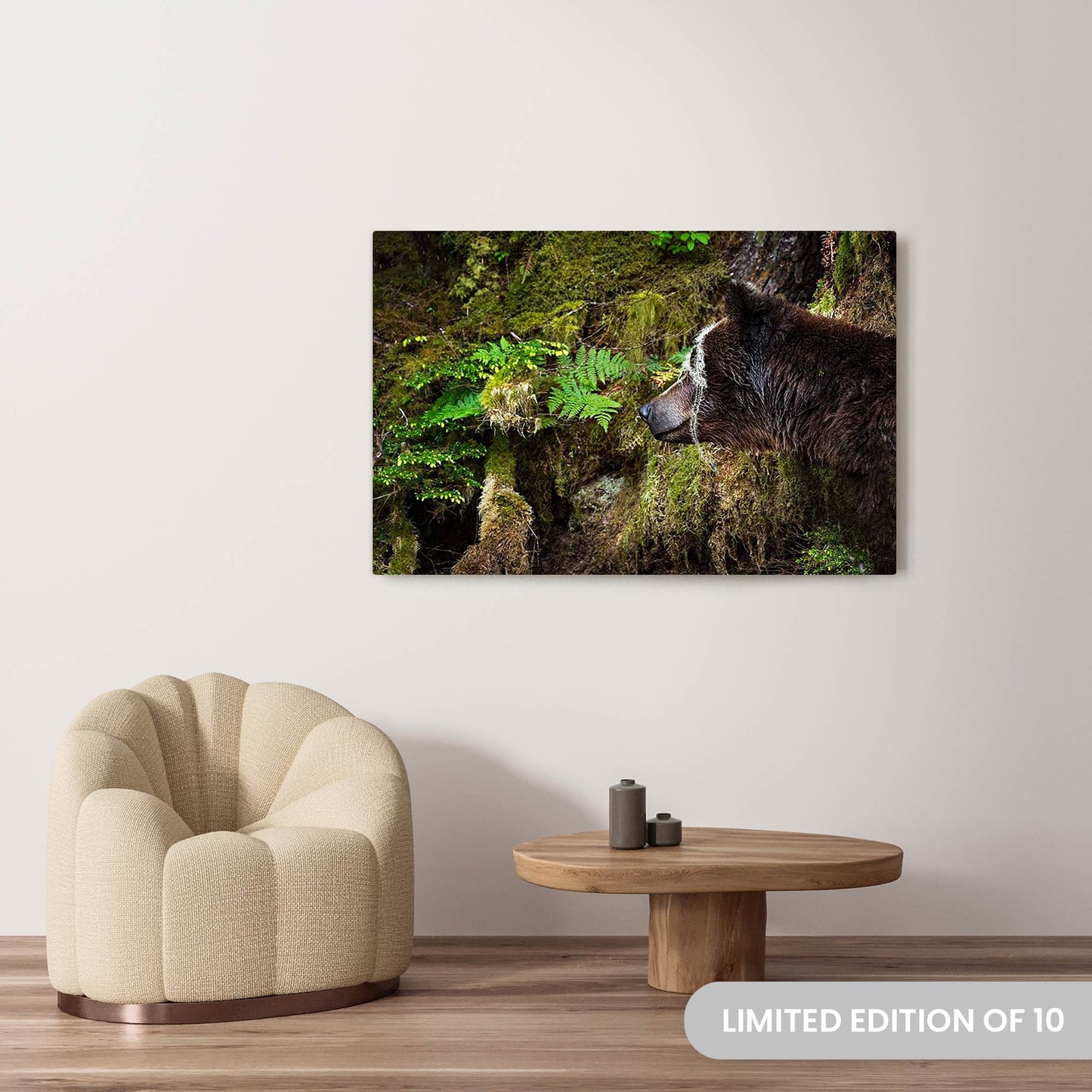 Michelle Valberg's Mighty Grizzly 2 photography reproduced on a 36x54 HD metal print 