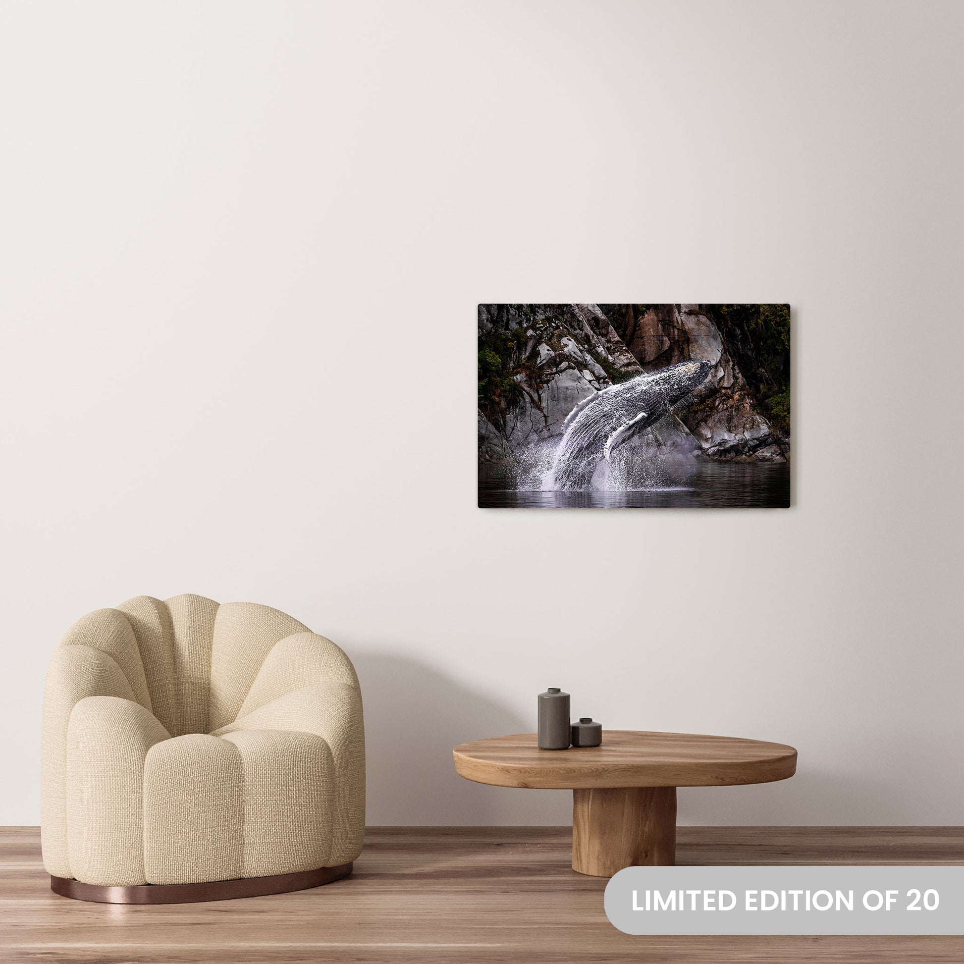 Michelle Valberg's Humpback Whale in Wide Waters photography reproduced on a 24x36 HD metal print