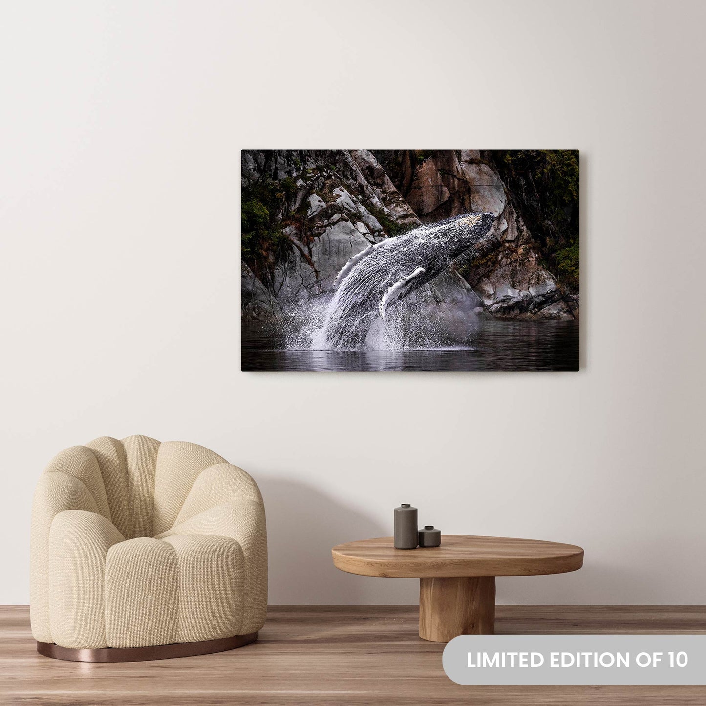 Michelle Valberg's Humpback Whale in Wide Waters photography reproduced on a 36x54 HD metal print