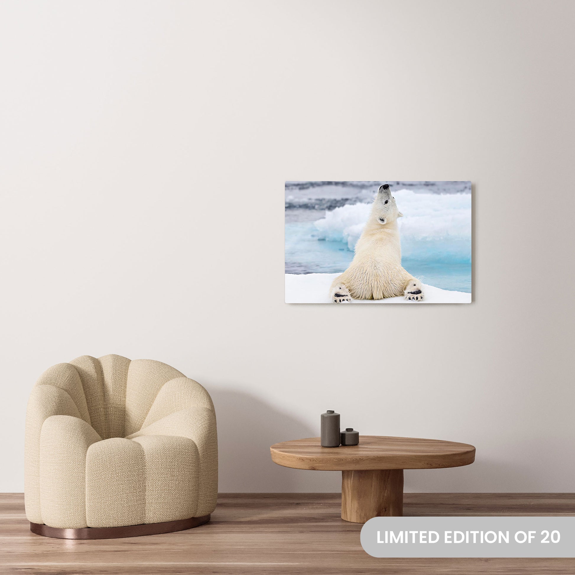 Michelle Valberg's Yogi Bear photography reproduced on a 24x36 HD metal print