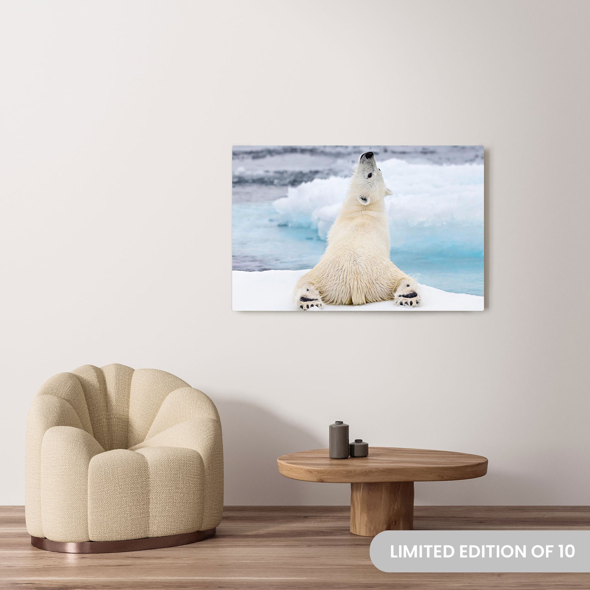 Michelle Valberg's Yogi Bear photography reproduced on a 32x48 HD metal print